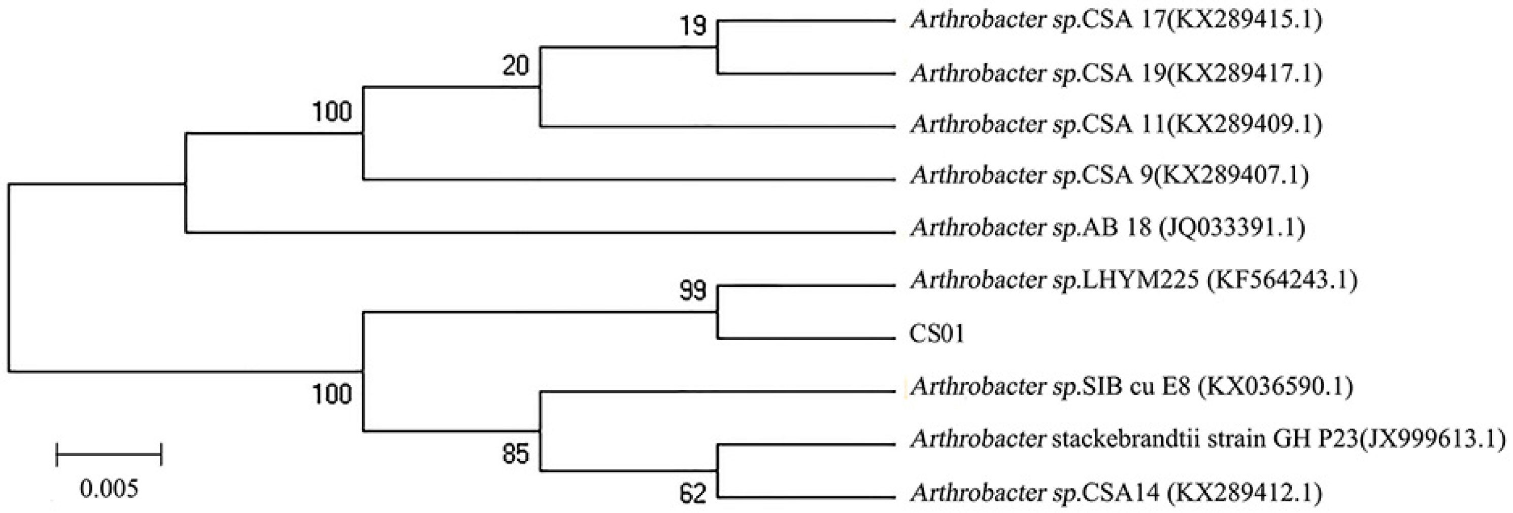 Marinedrugs 17 00185 g001