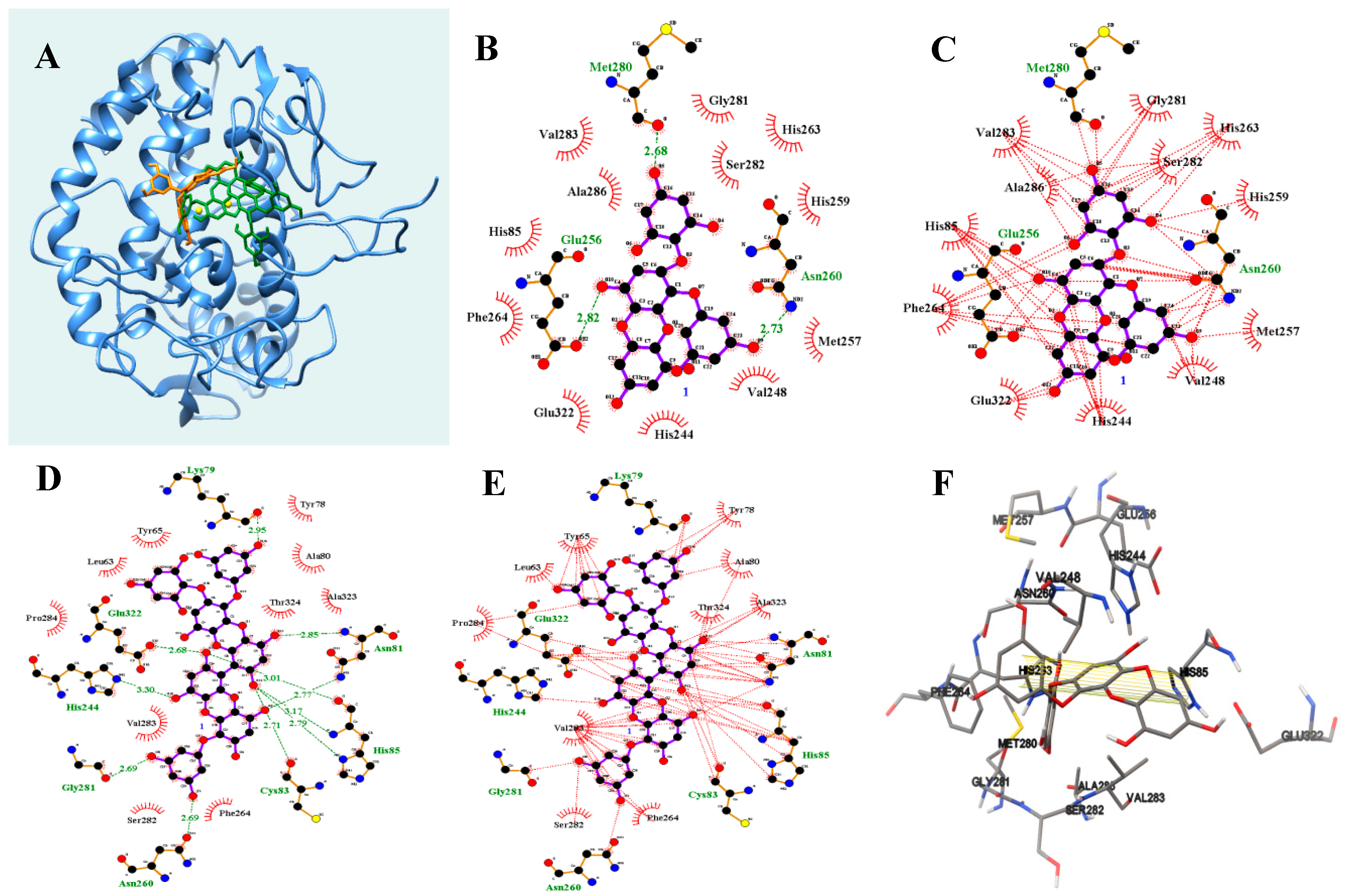 Marine Drugs Free Full Text Slow Binding Inhibition Of Tyrosinase By Ecklonia Cava Phlorotannins Html