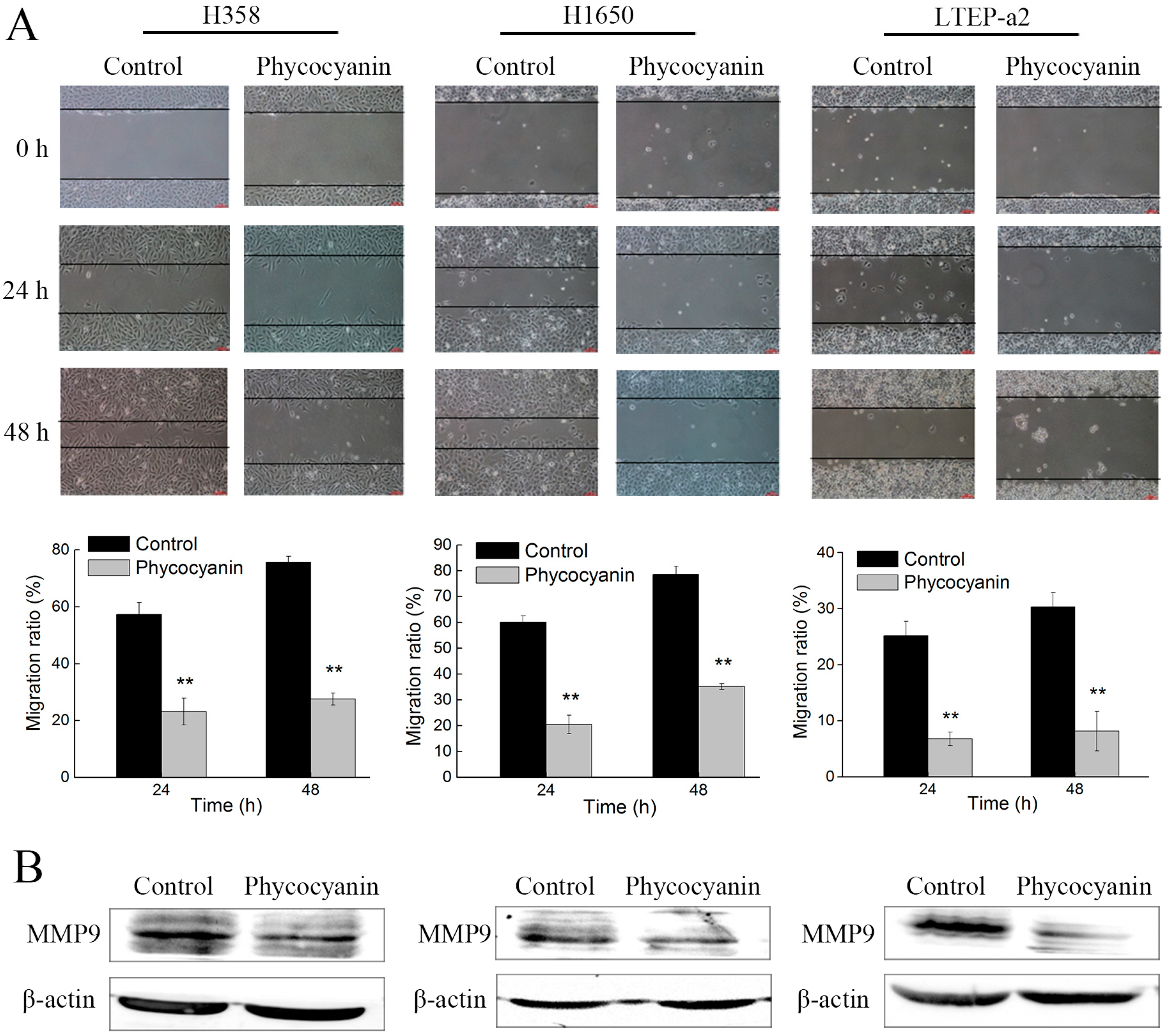 Marinedrugs 17 00362 g002 Marinedrugs 17 00362 g002