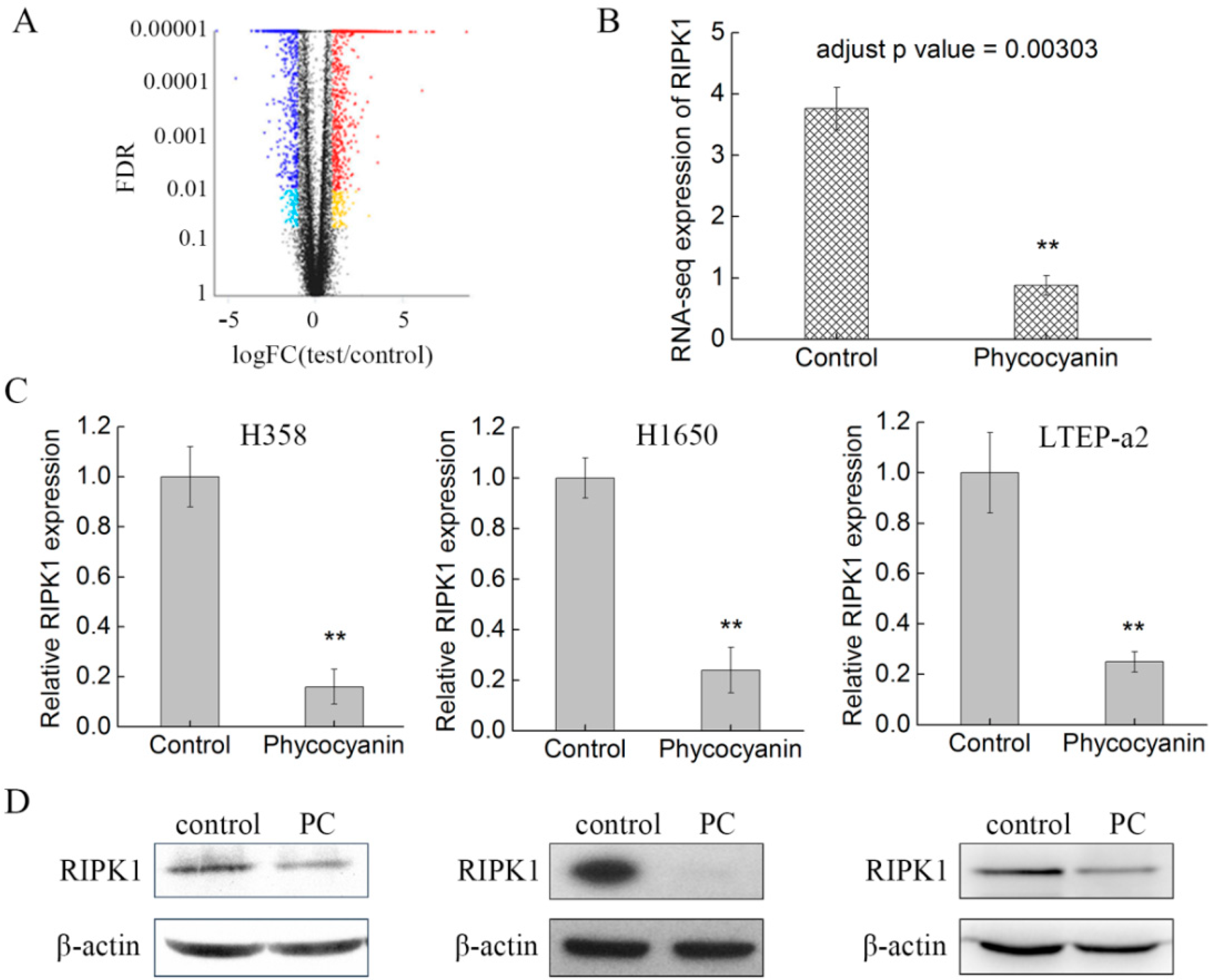 Marinedrugs 17 00362 g004 Marinedrugs 17 00362 g004