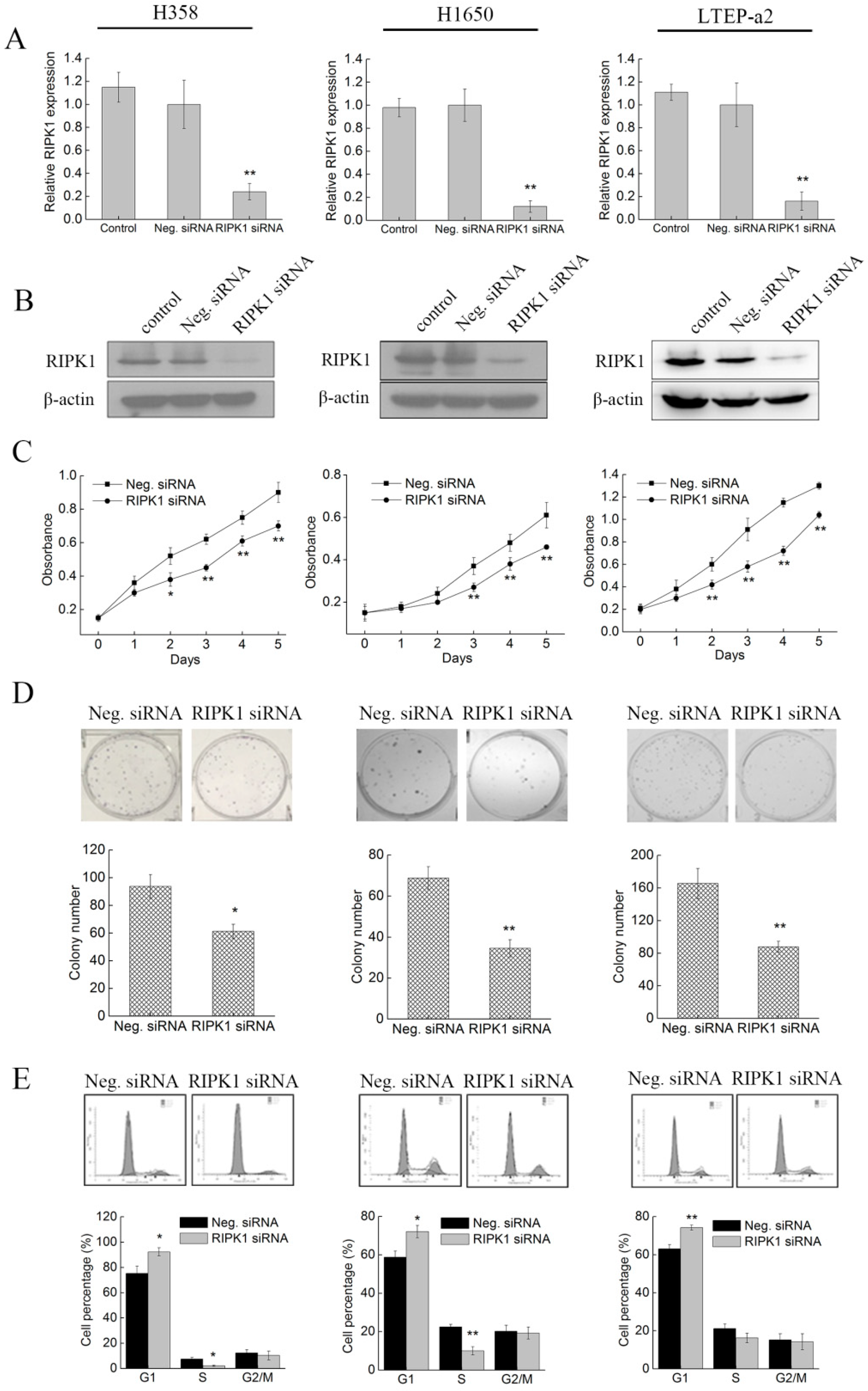 Marinedrugs 17 00362 g005 Marinedrugs 17 00362 g005