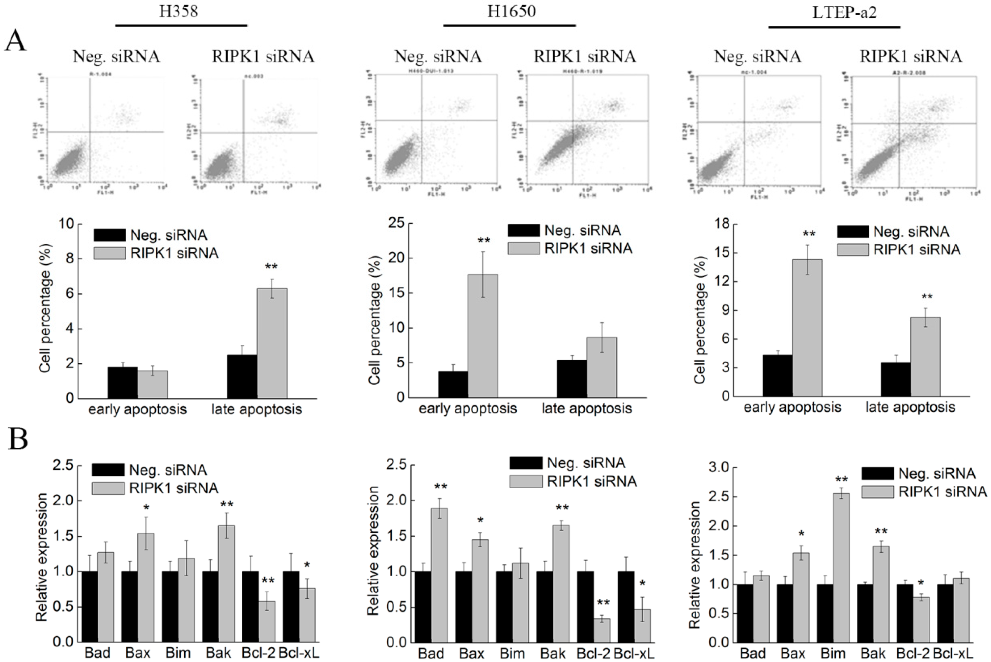 Marinedrugs 17 00362 g007 Marinedrugs 17 00362 g007