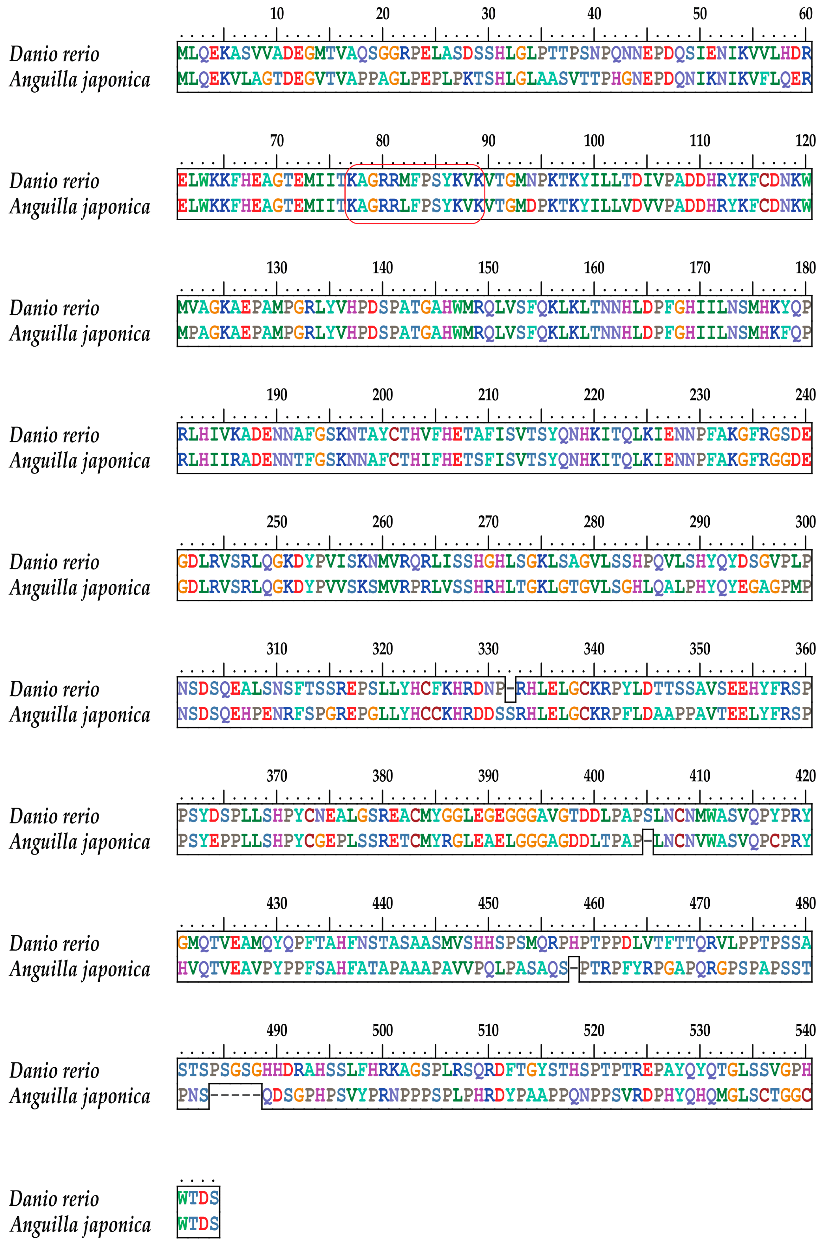 Marinedrugs 17 00426 g005 Marinedrugs 17 00426 g005