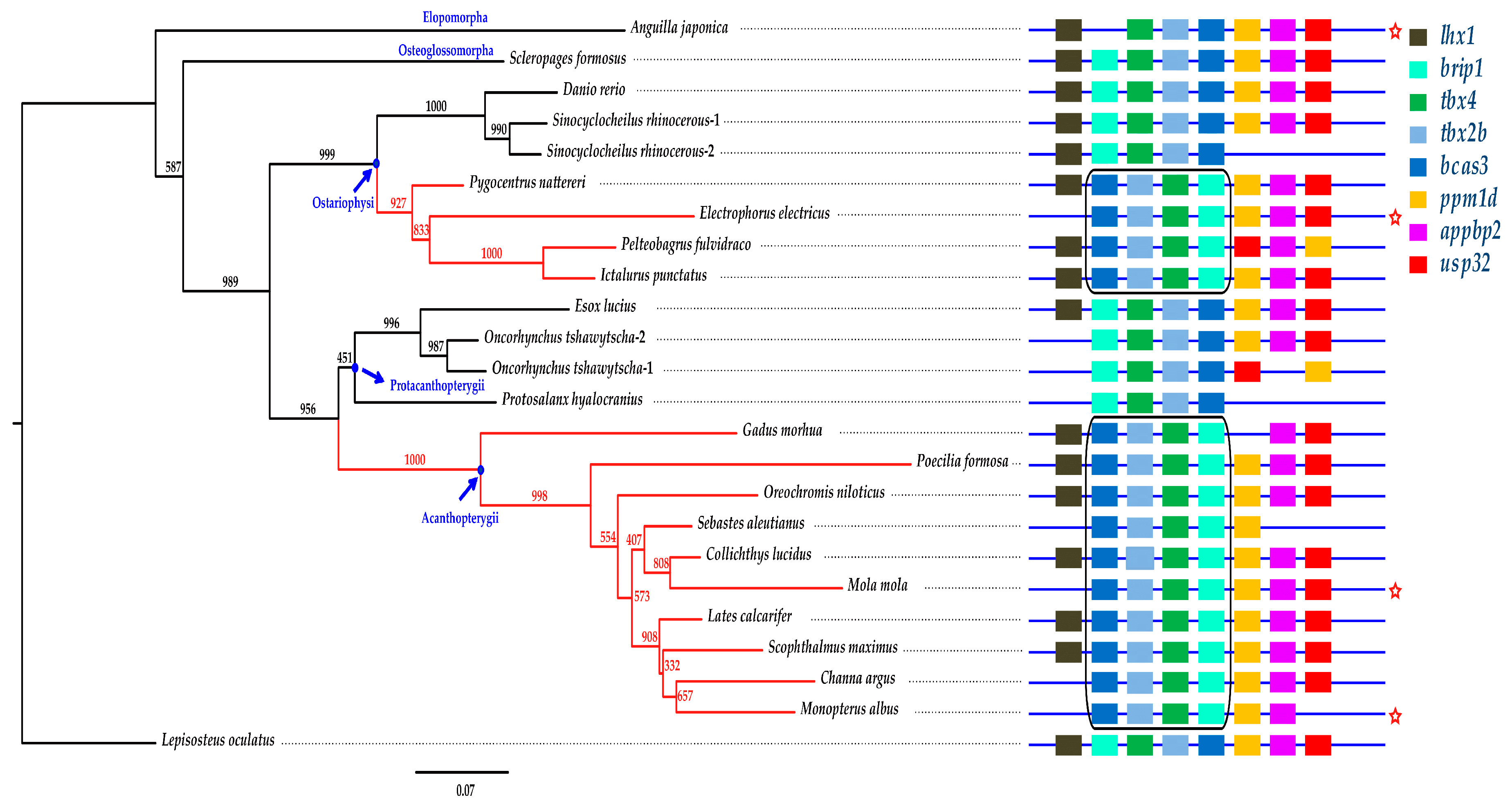 Marinedrugs 17 00426 g006 Marinedrugs 17 00426 g006