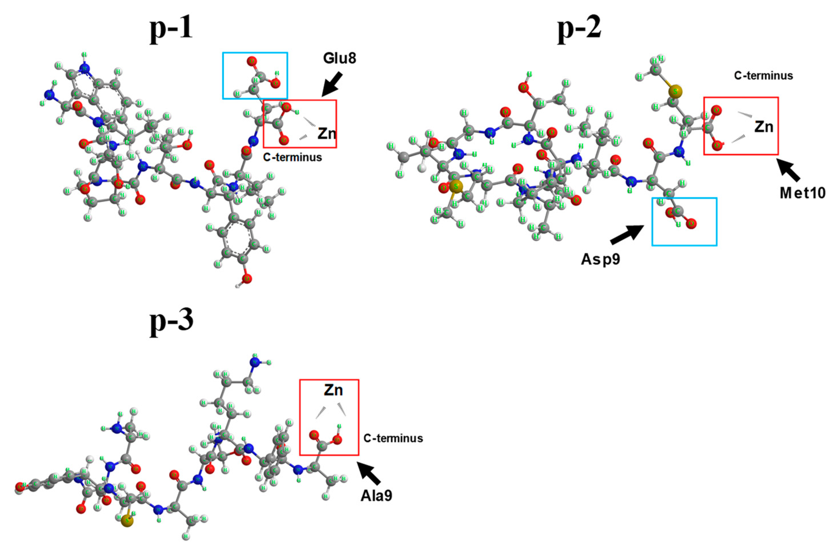 Marine Drugs Free FullText ZincChelating Mechanism of Sea