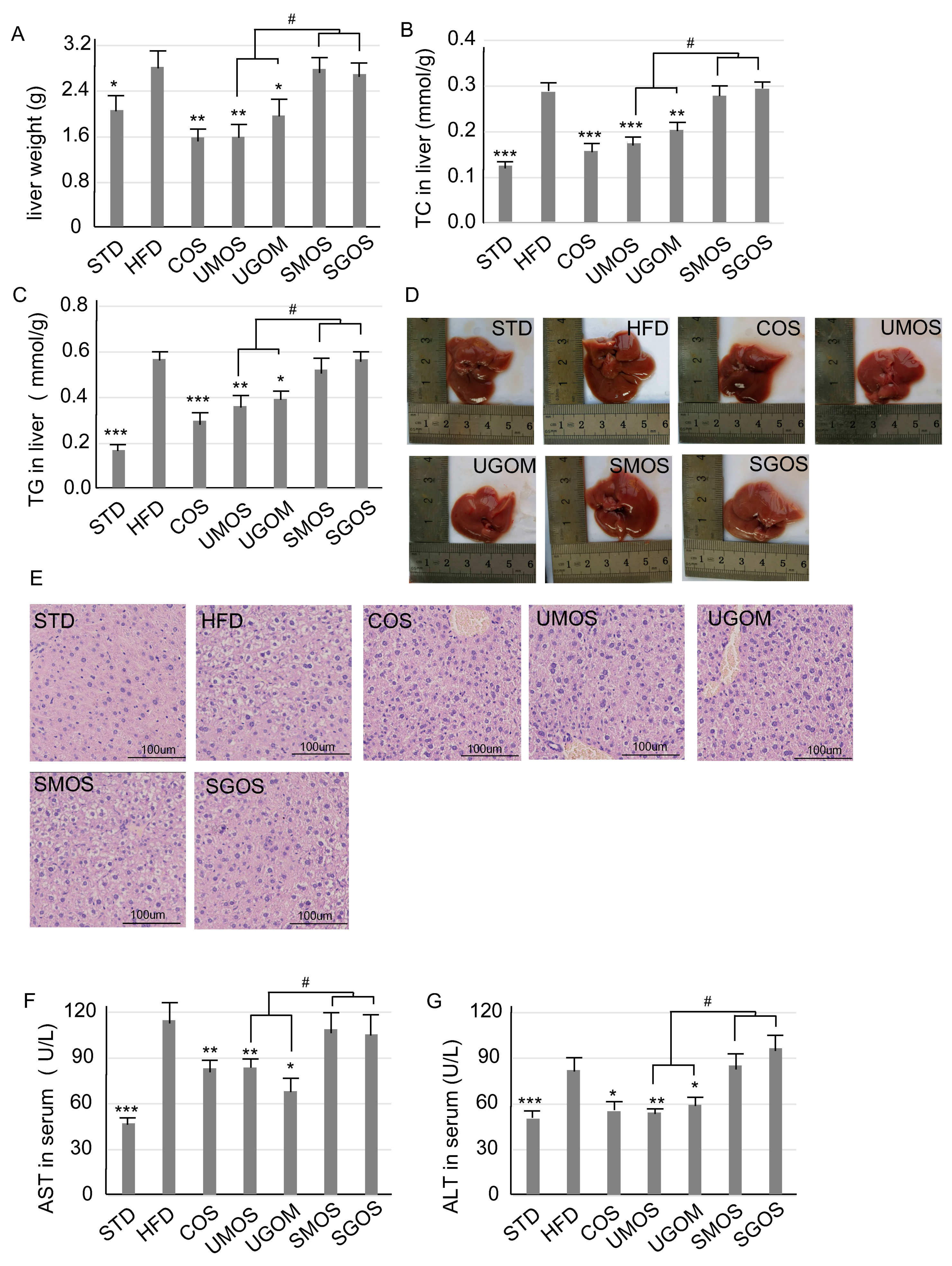 Marinedrugs 17 00540 g004