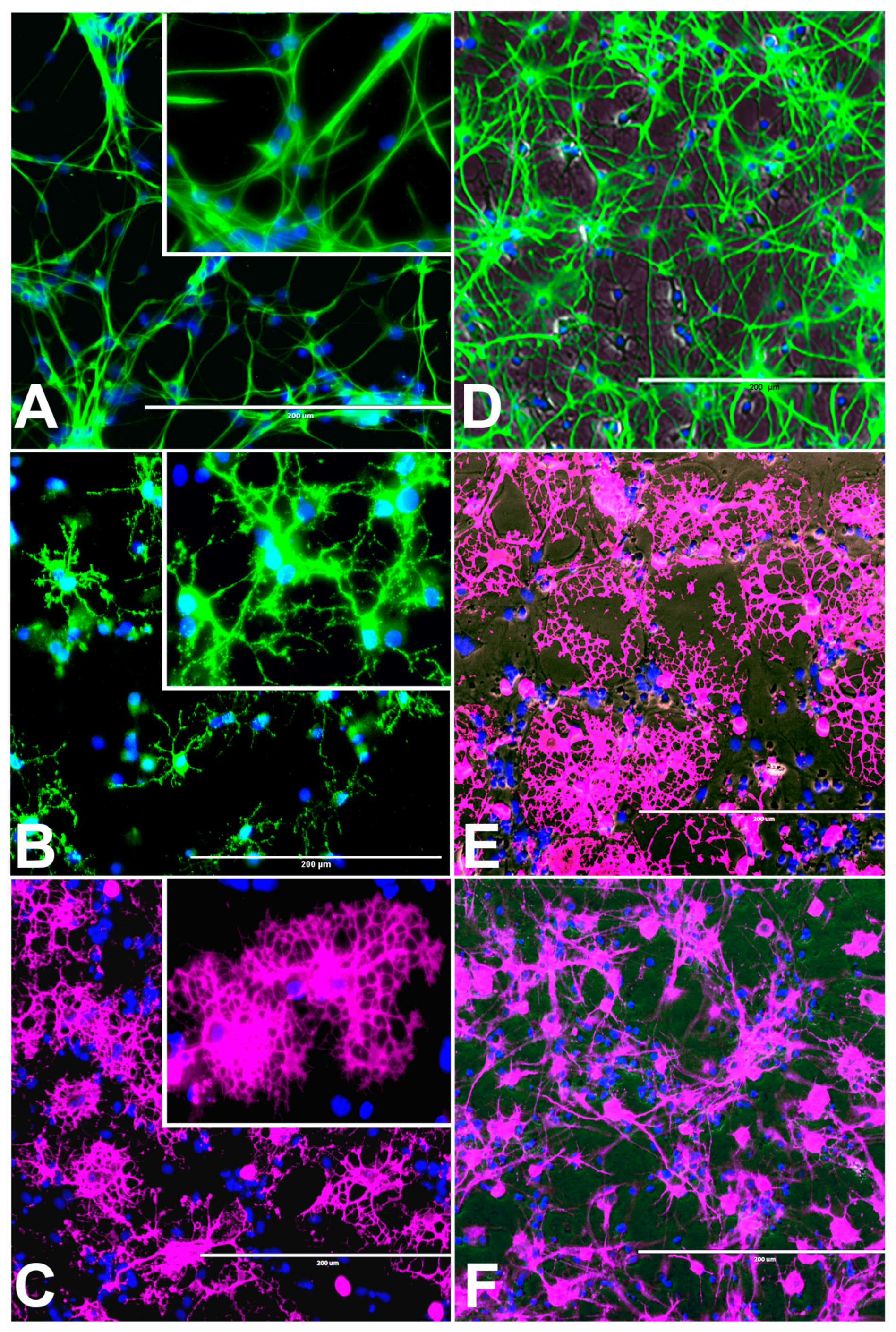 Marinedrugs 17 00566 g001 Marinedrugs 17 00566 g001
