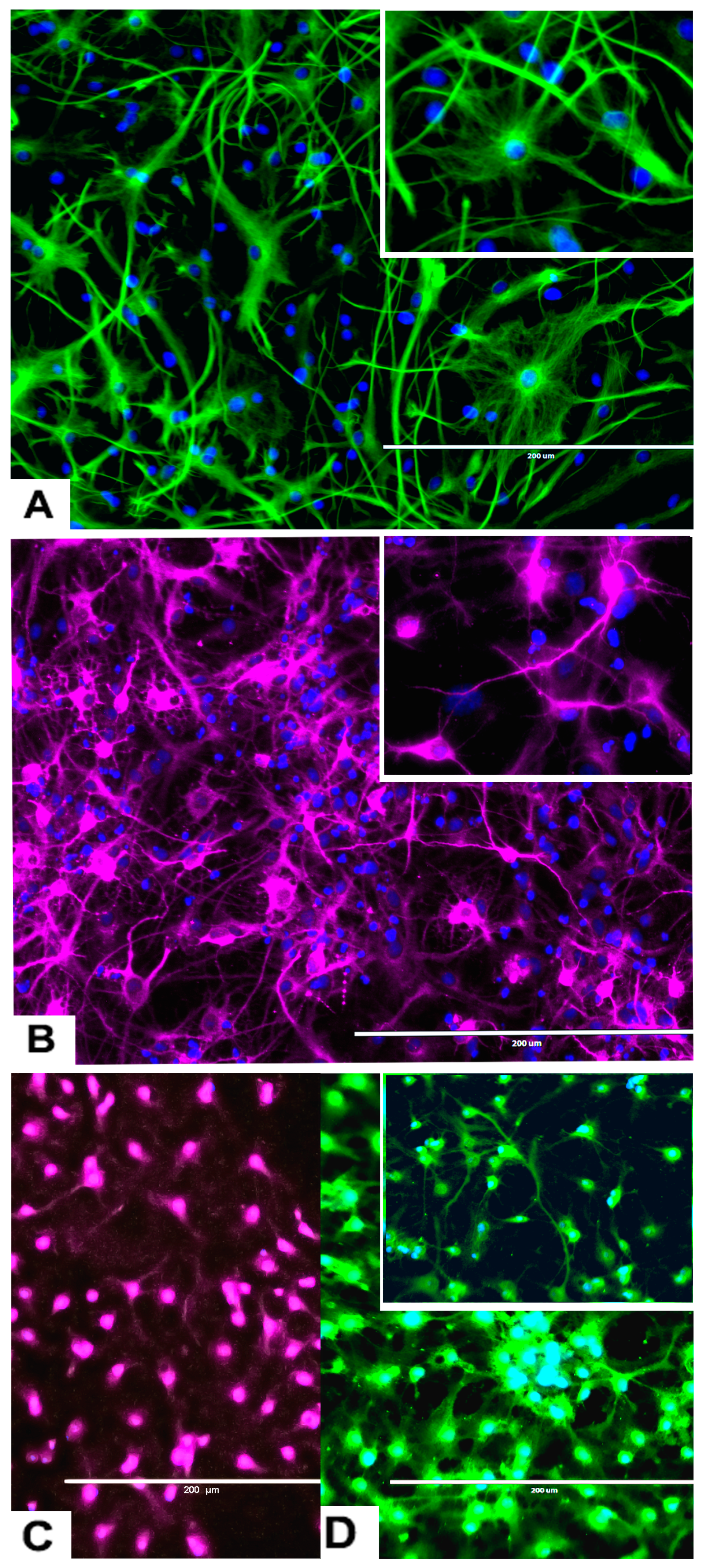 Marinedrugs 17 00566 g003 Marinedrugs 17 00566 g003