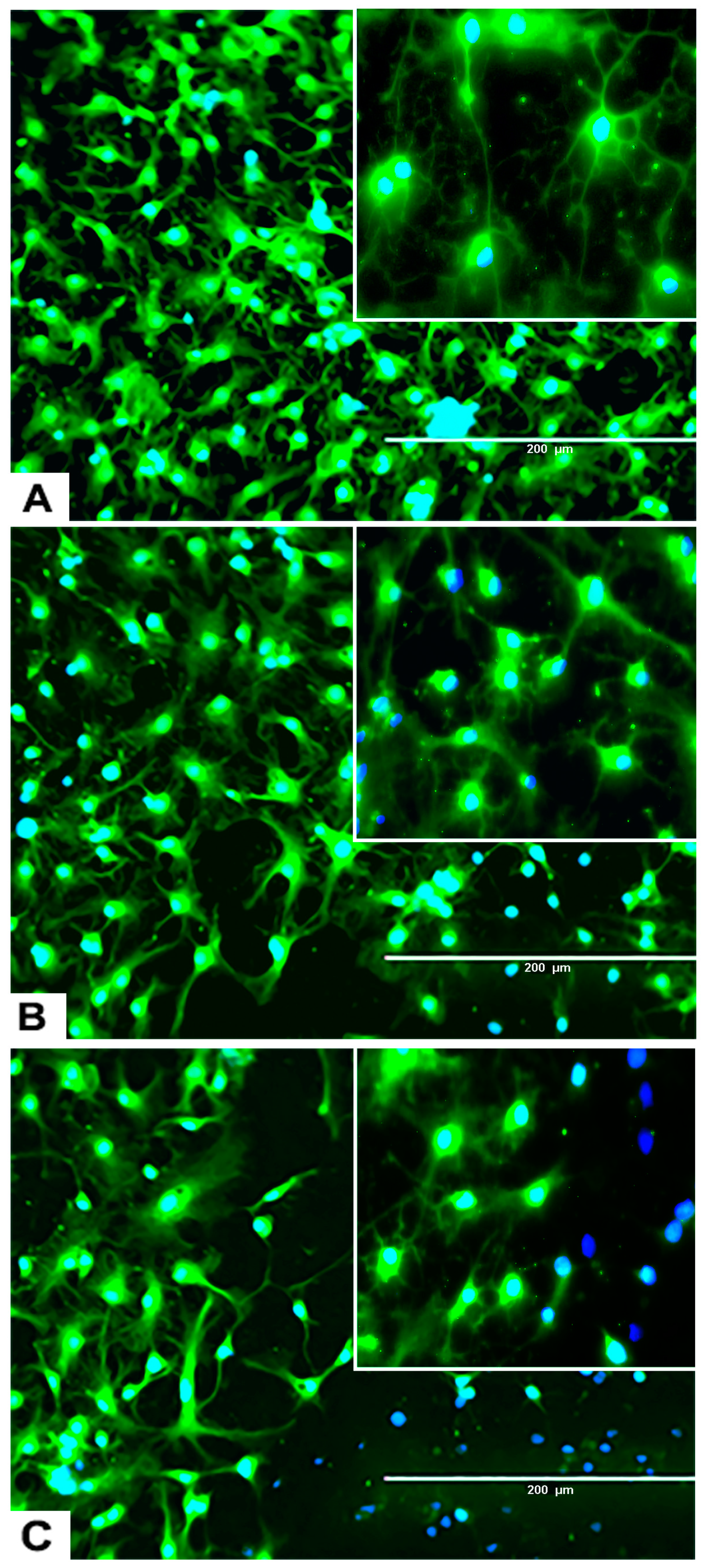 Marinedrugs 17 00566 g006 Marinedrugs 17 00566 g006