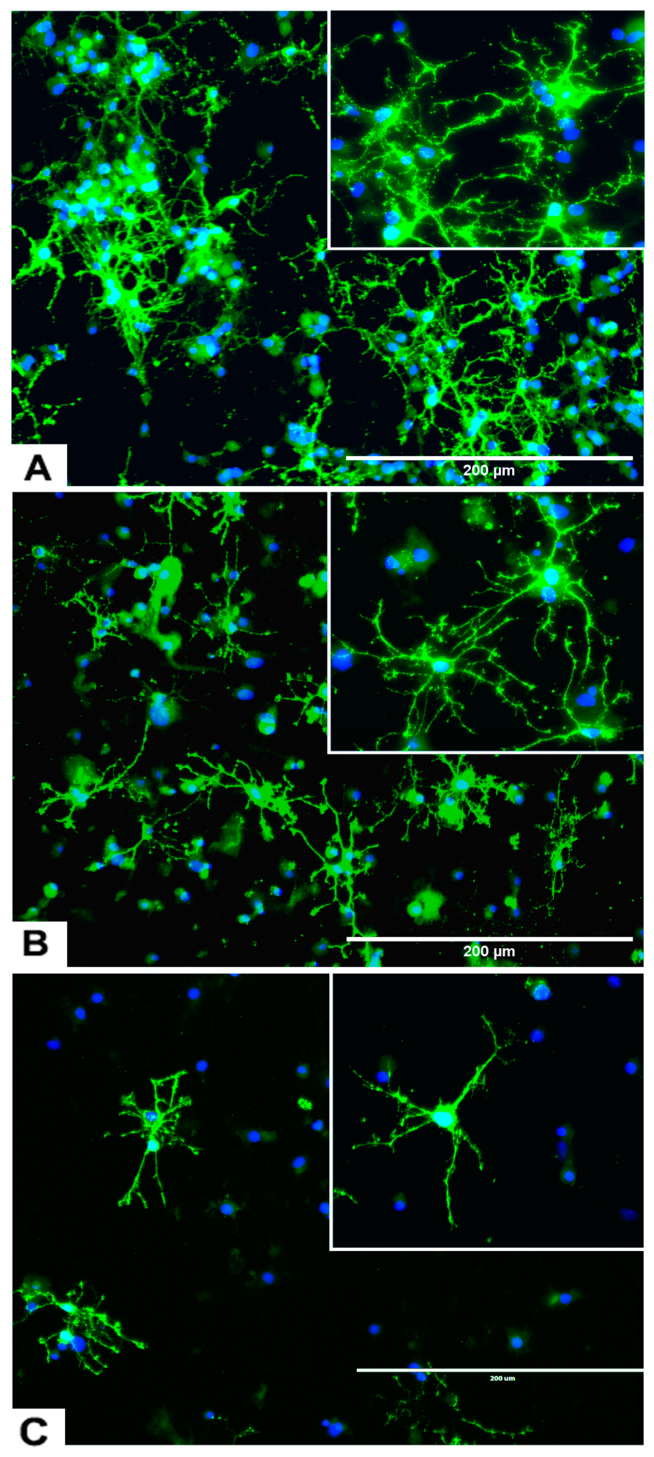 Marinedrugs 17 00566 g007 Marinedrugs 17 00566 g007
