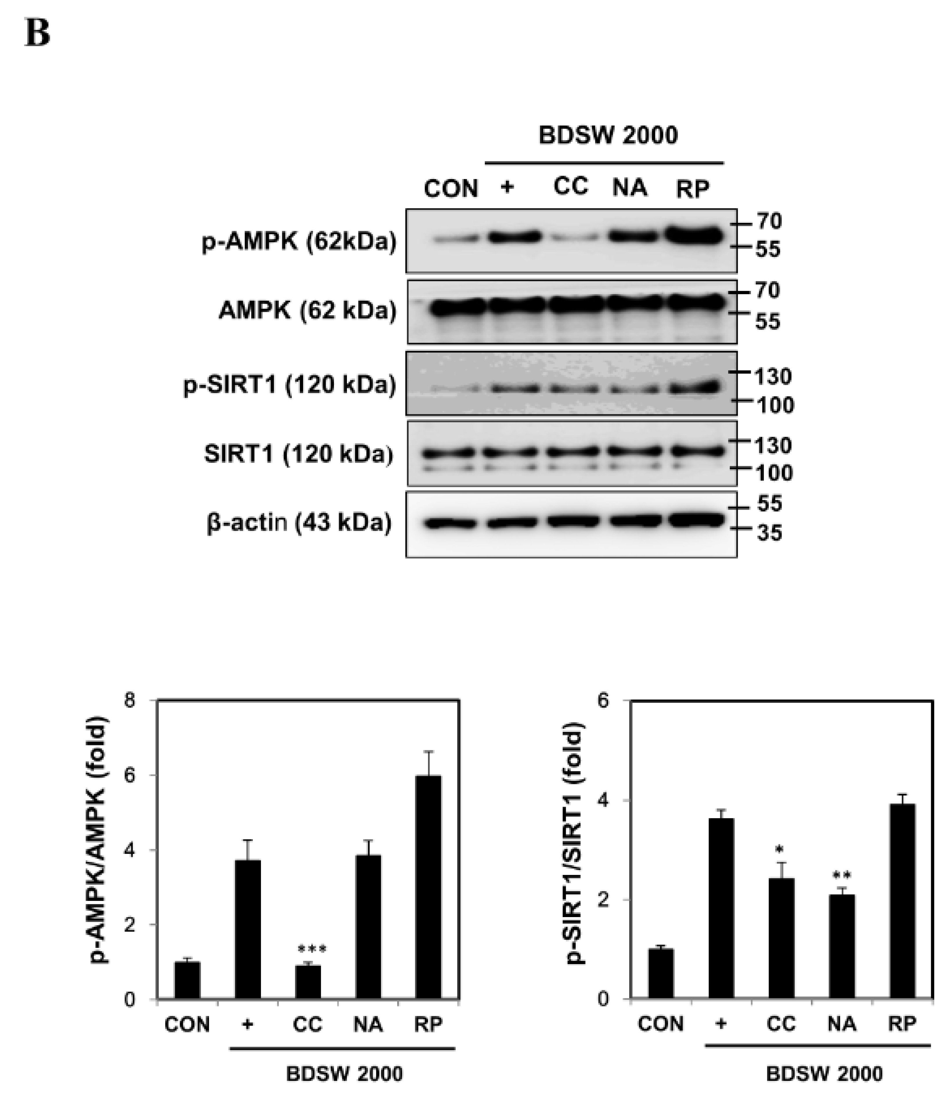 Marinedrugs 17 00611 g006b