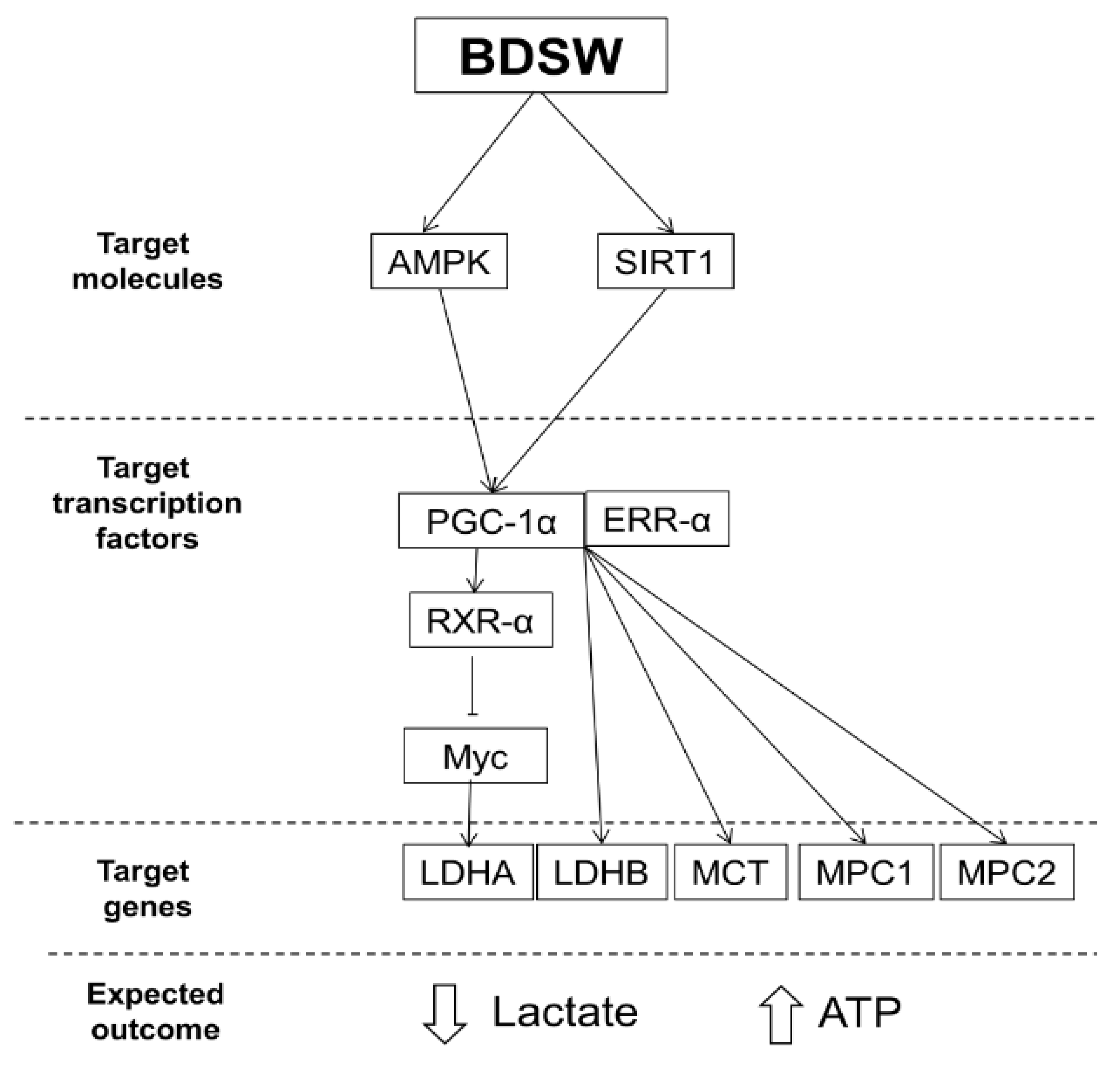 Marinedrugs 17 00611 g007