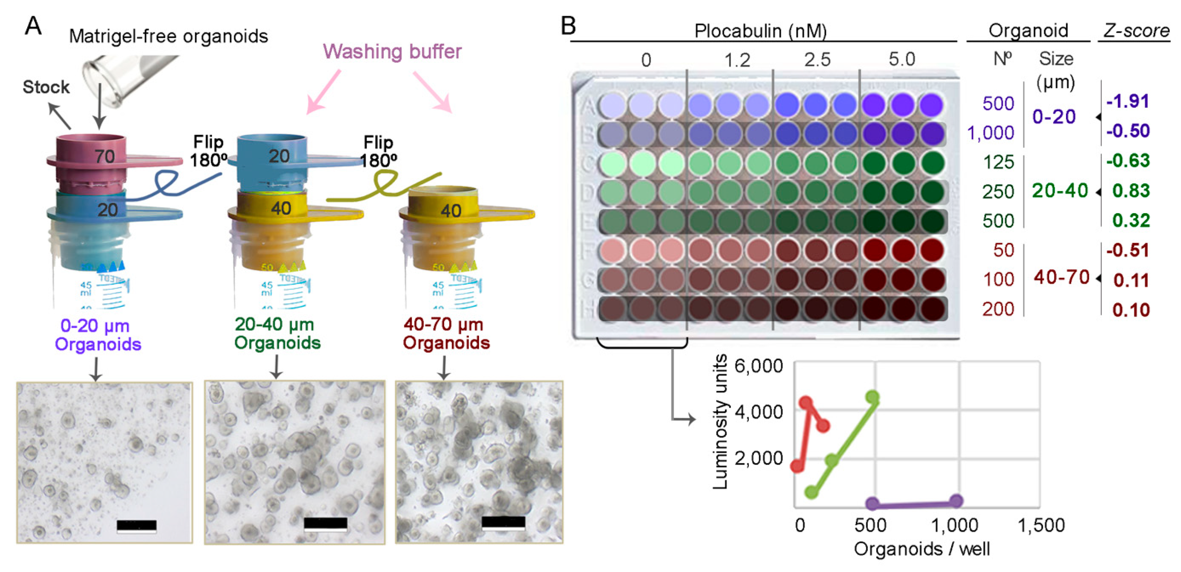 Marinedrugs 17 00648 g003 Marinedrugs 17 00648 g003