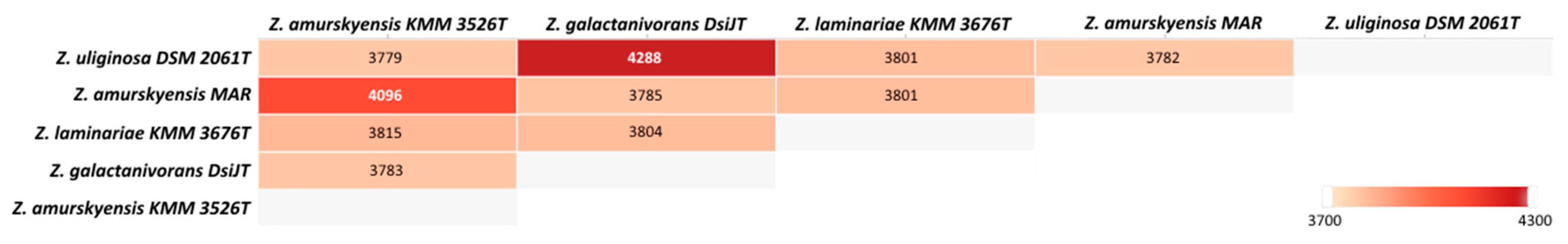 Marinedrugs 17 00661 g002 Marinedrugs 17 00661 g002