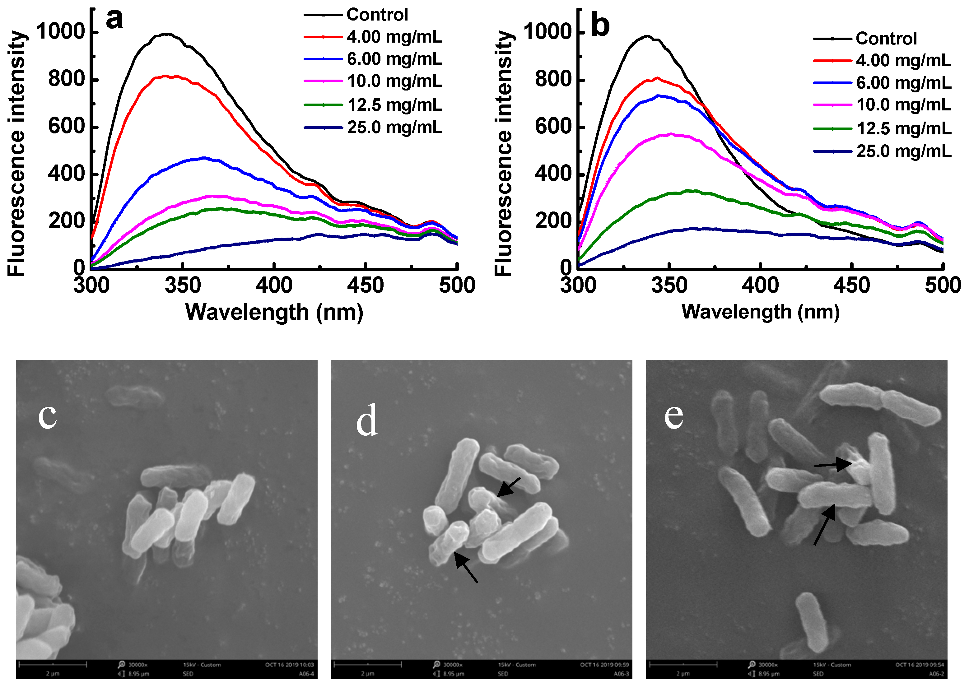 Marinedrugs 17 00694 g006