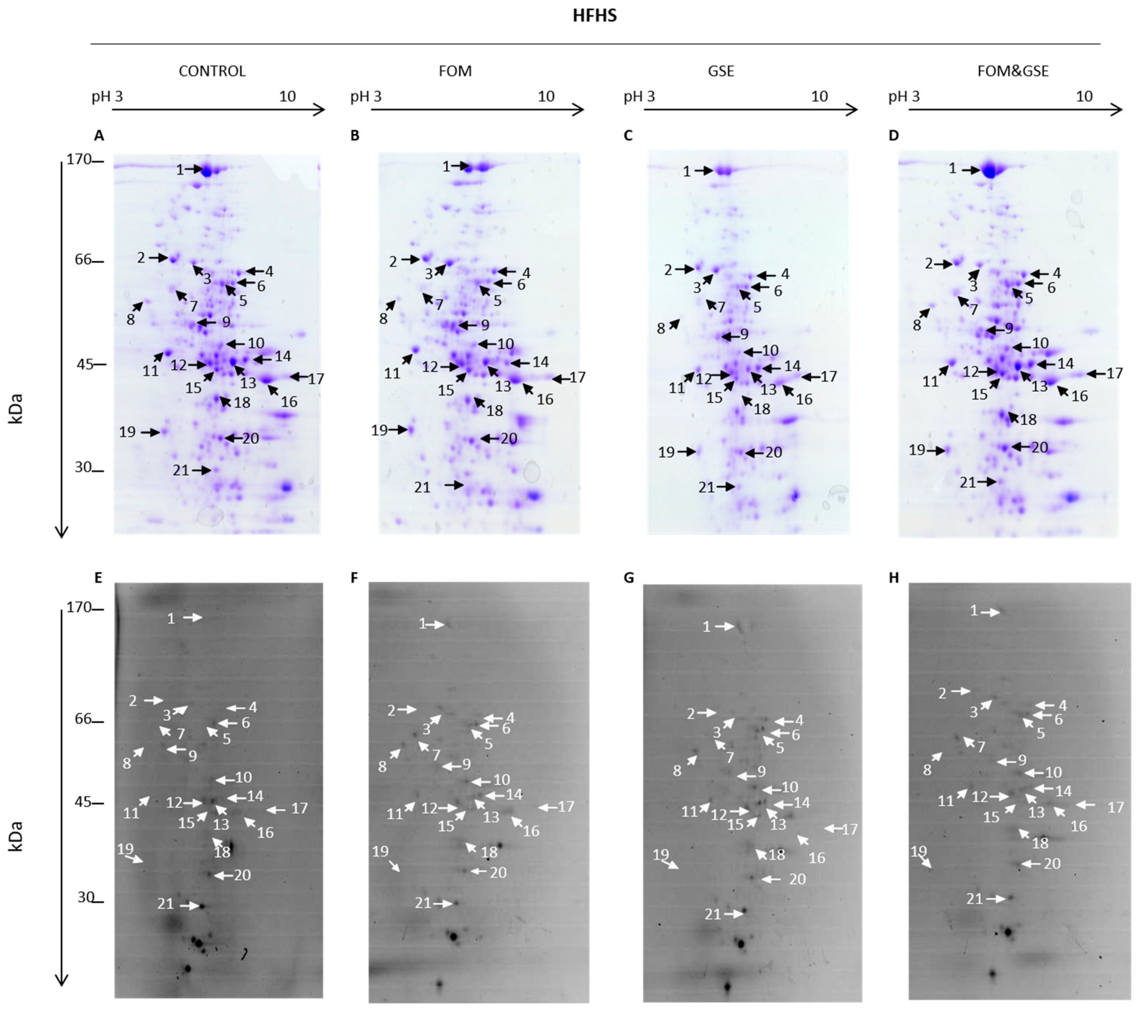 Marinedrugs 18 00034 g005 Marinedrugs 18 00034 g005