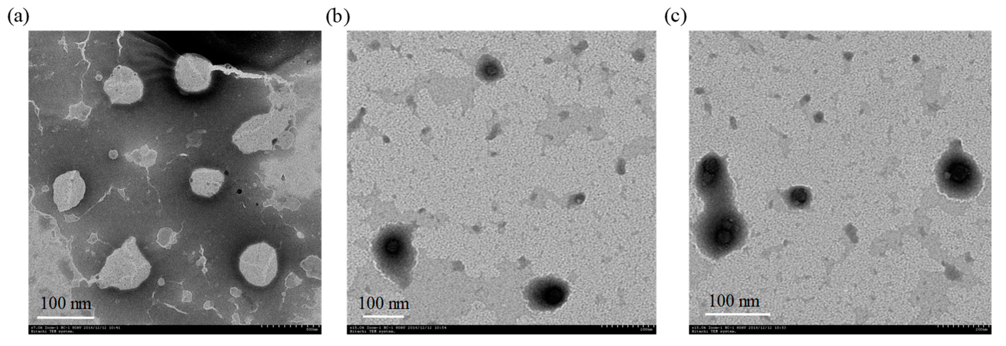 Marinedrugs 18 00082 g003