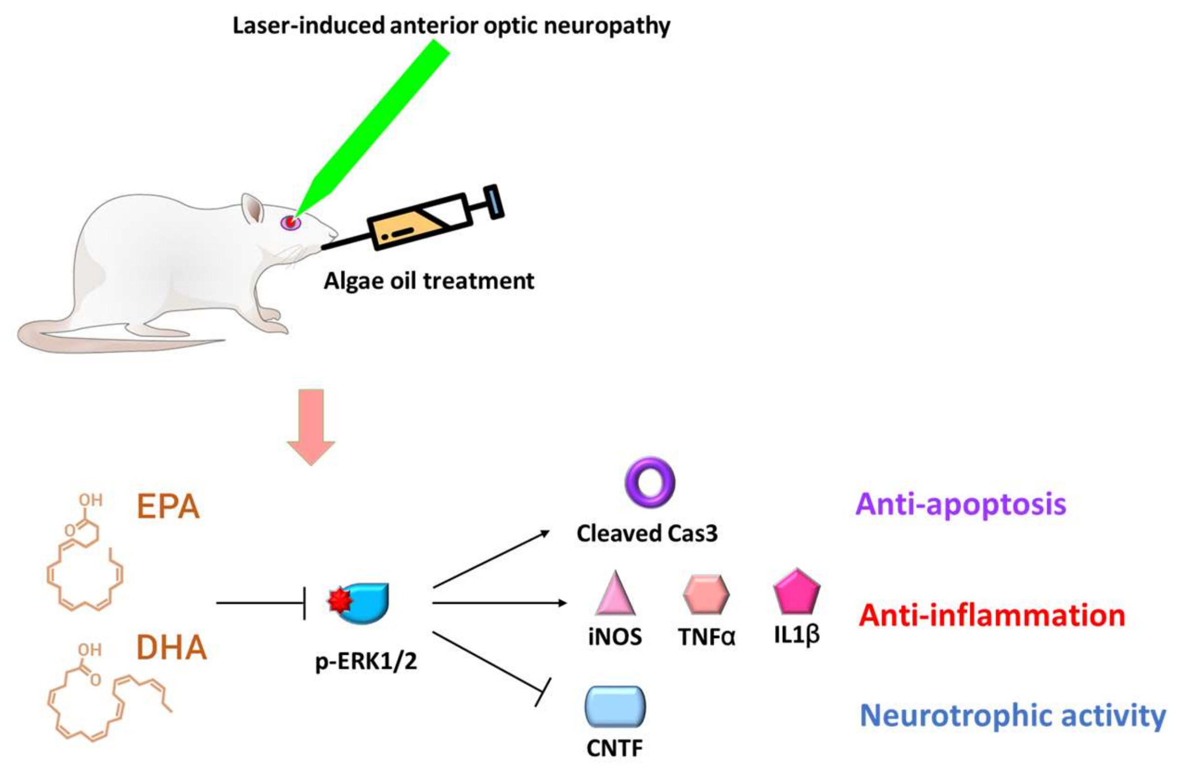 Marinedrugs 18 00083 g007 Marinedrugs 18 00083 g007