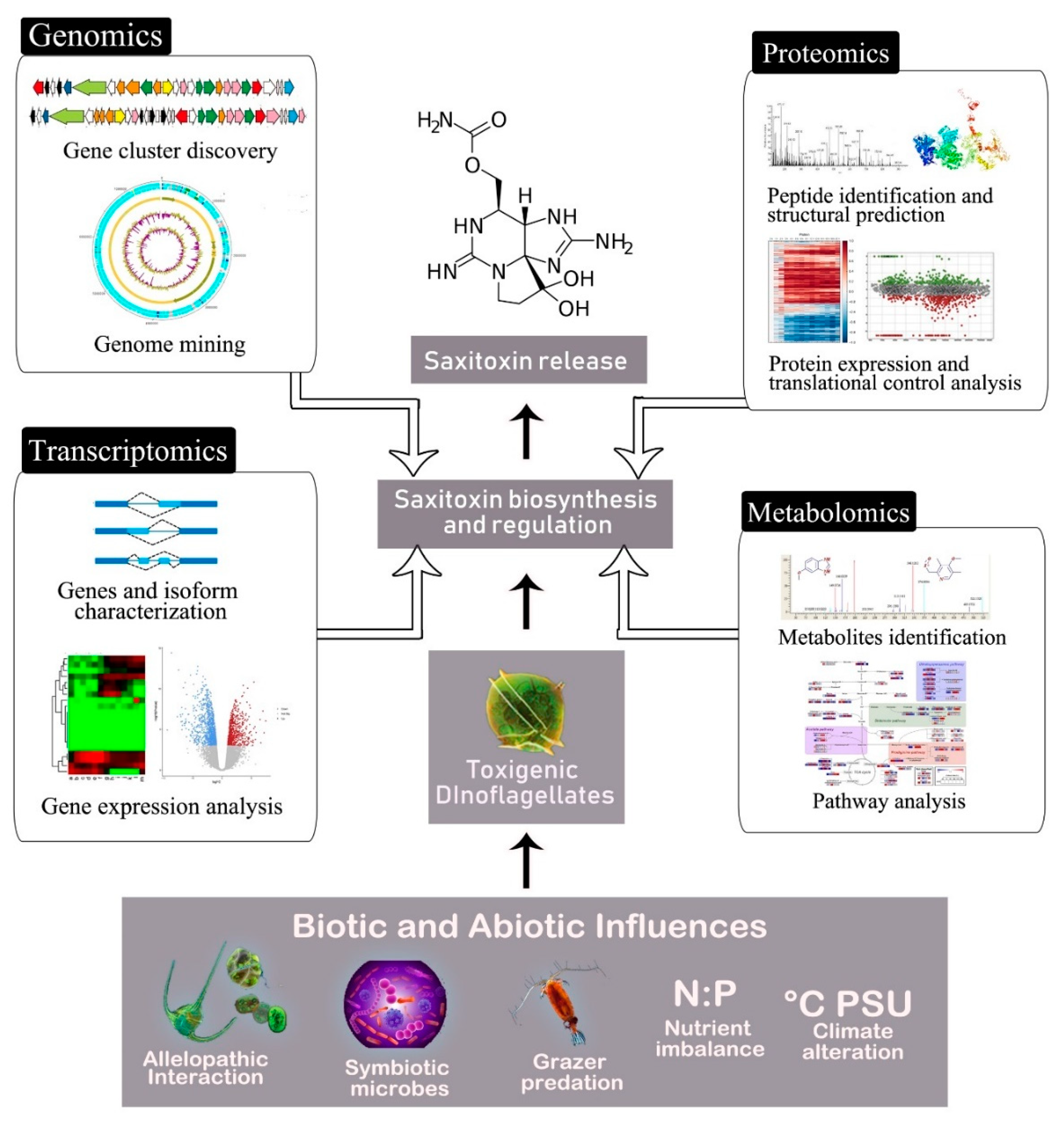 Marinedrugs 18 00103 g001