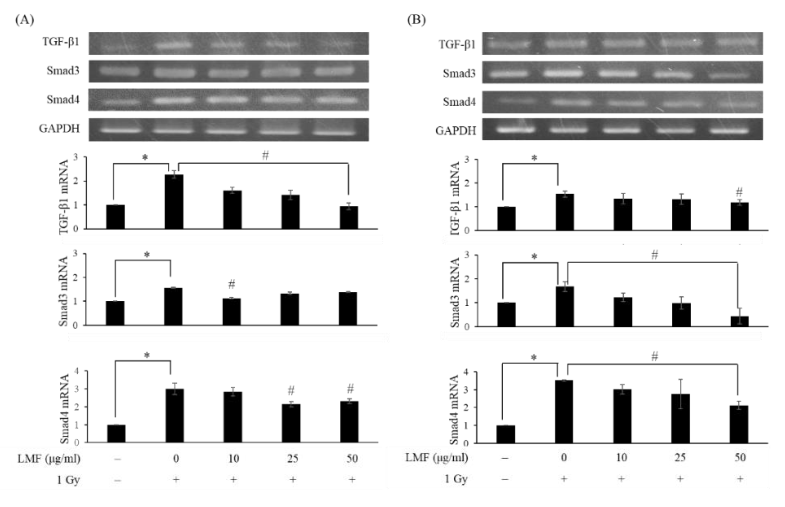 marine drugs free full text protective effect of low molecular weight fucoidan on radiation induced fibrosis through tgf b1 smad pathway mediated inhibition of collagen i accumulation html fucoidan on radiation induced fibrosis