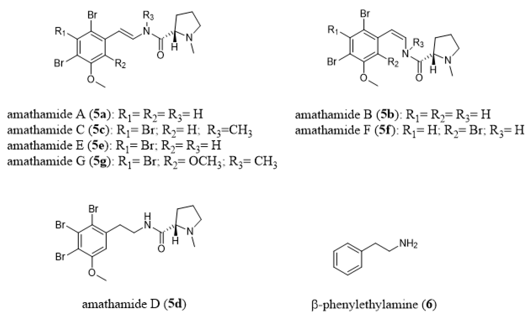 Marine Drugs Free Full Text The Phylum Bryozoa From Biology To Biomedical Potential Html