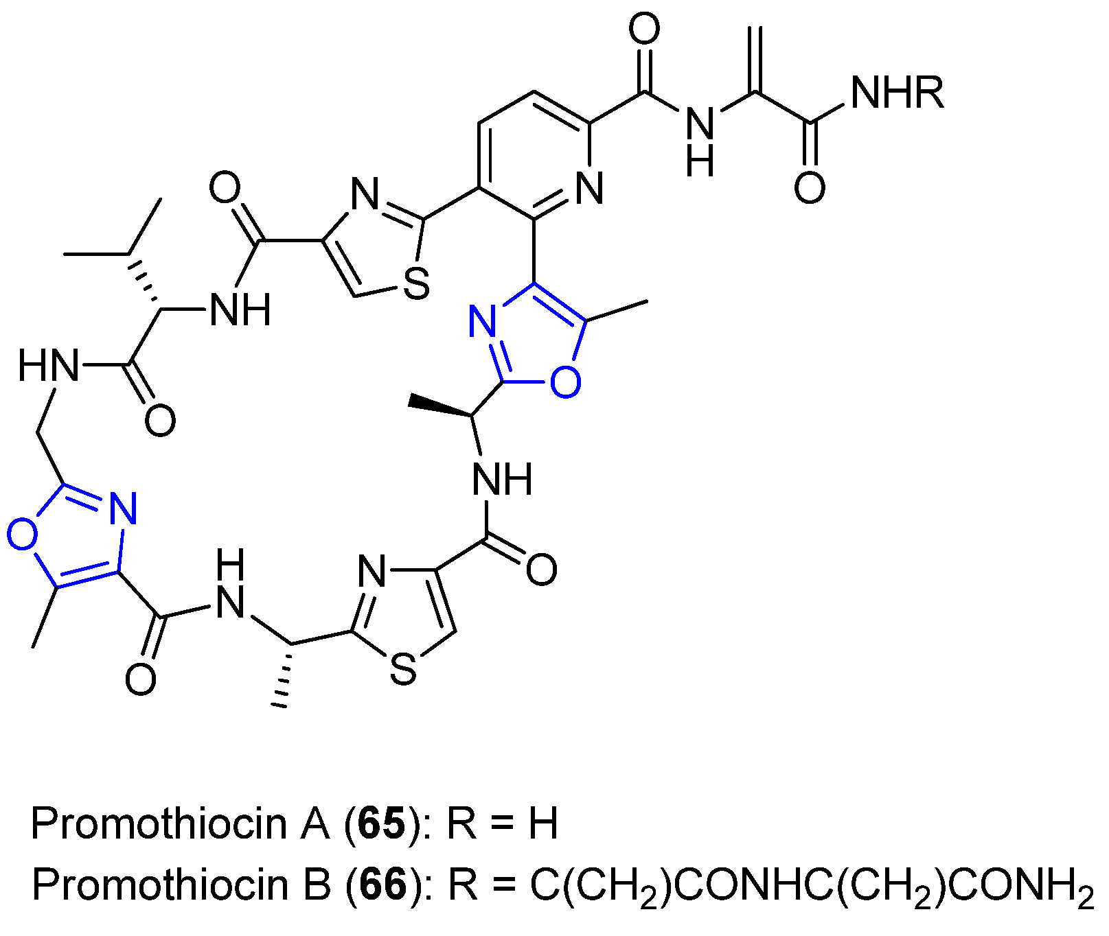 Marinedrugs 18 00203 g026