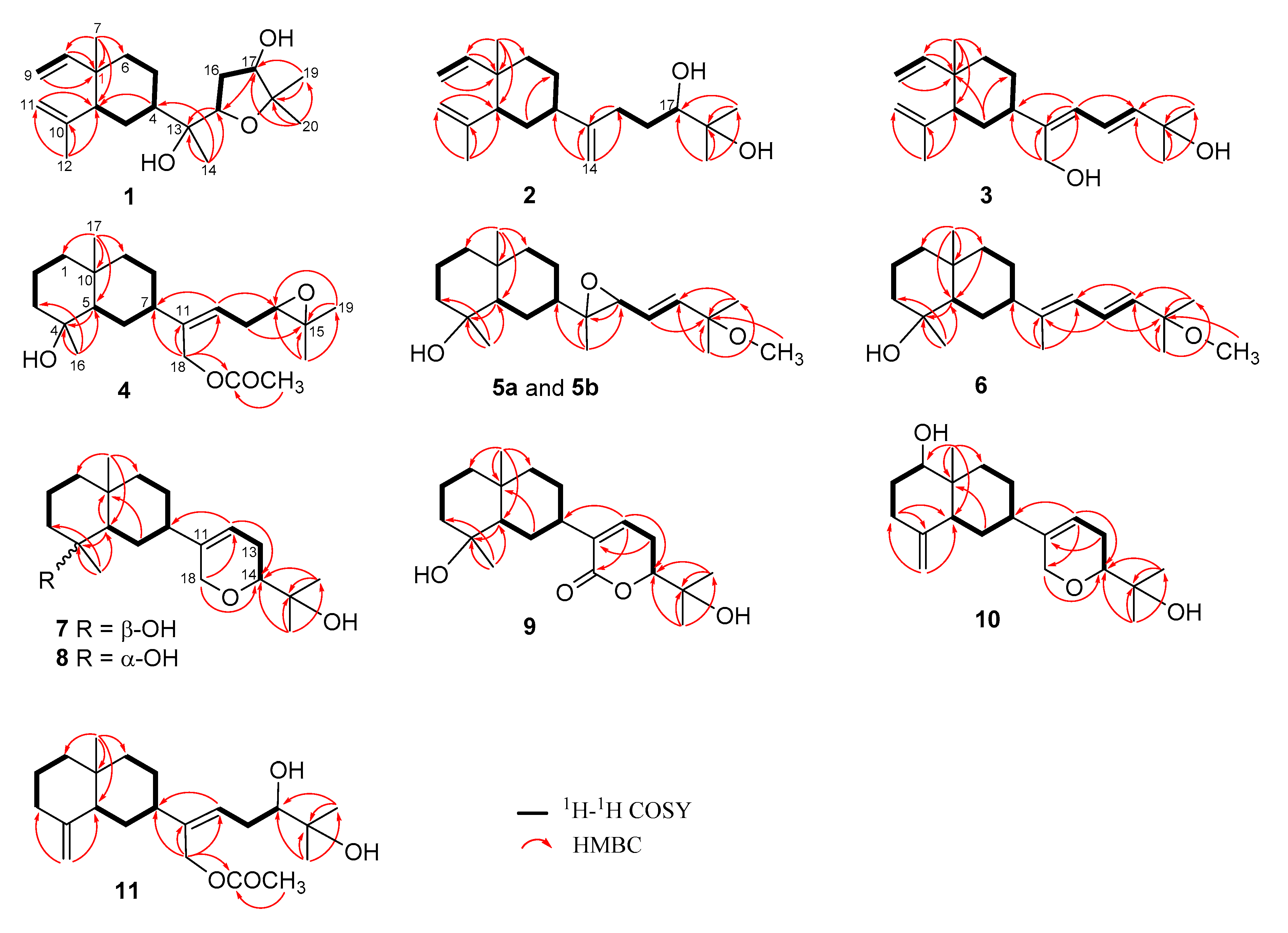 Marinedrugs 18 00223 g002 Marinedrugs 18 00223 g002