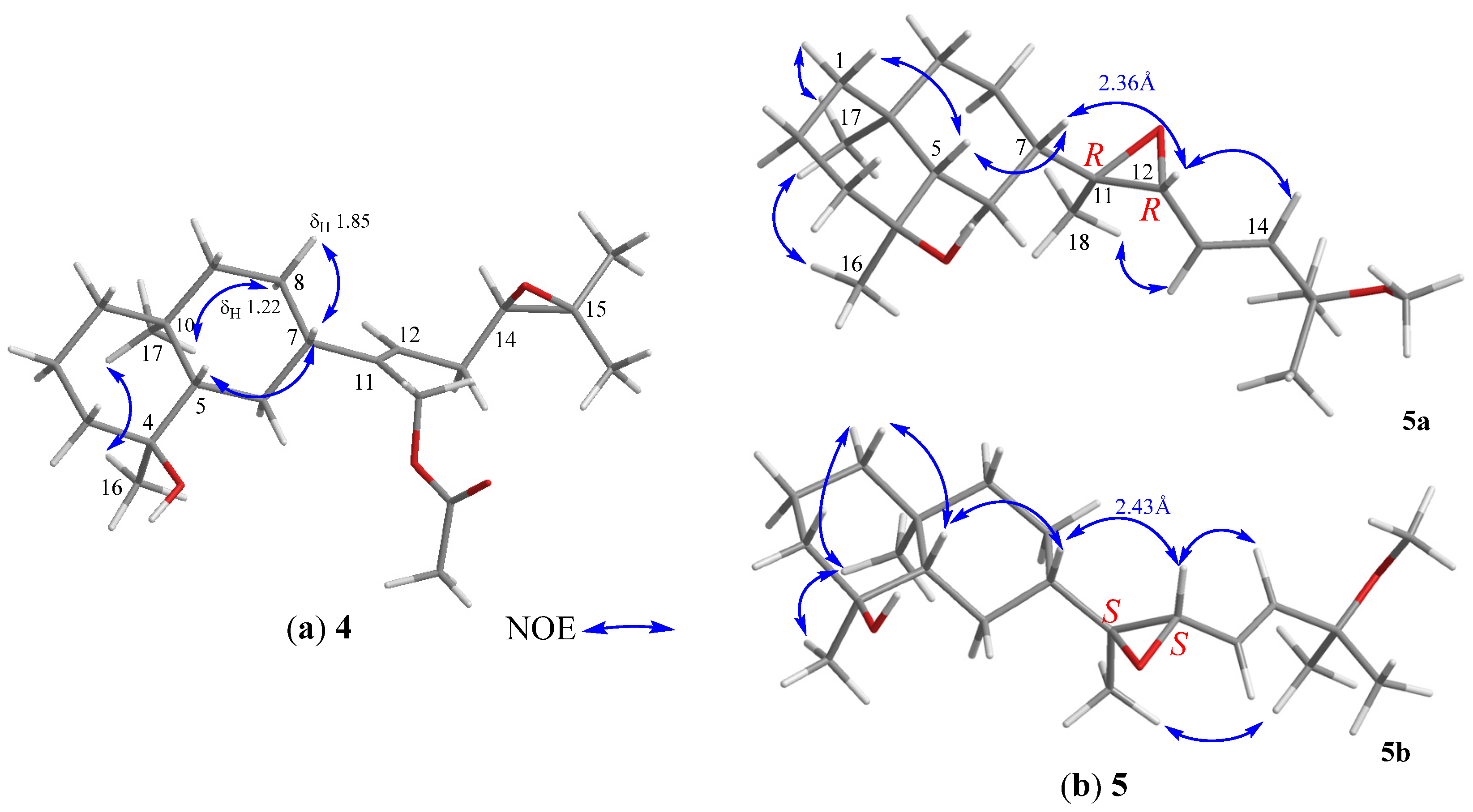 Marinedrugs 18 00223 g005 Marinedrugs 18 00223 g005