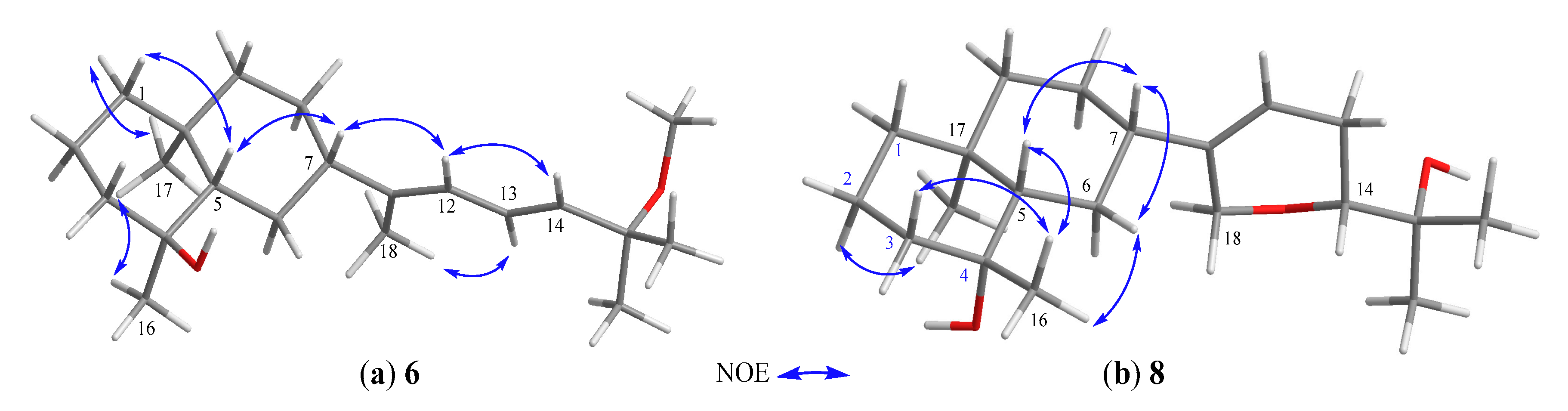 Marinedrugs 18 00223 g006 Marinedrugs 18 00223 g006