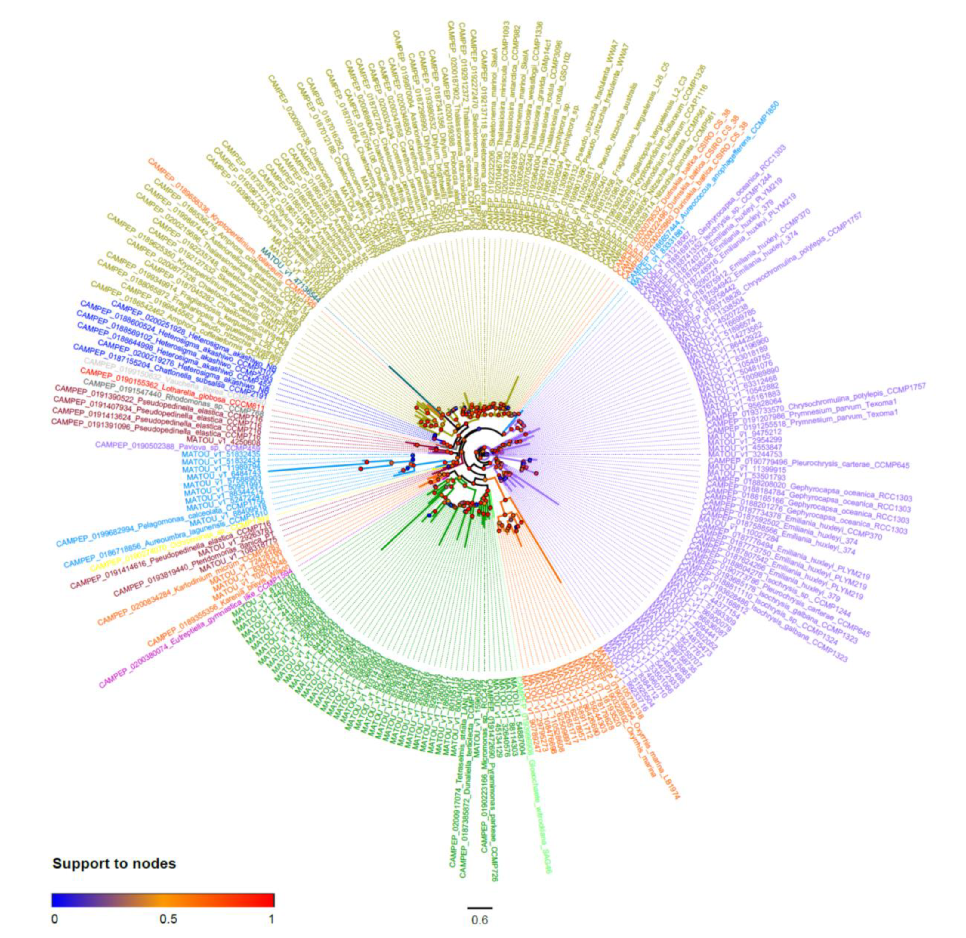 Marinedrugs 18 00237 g005