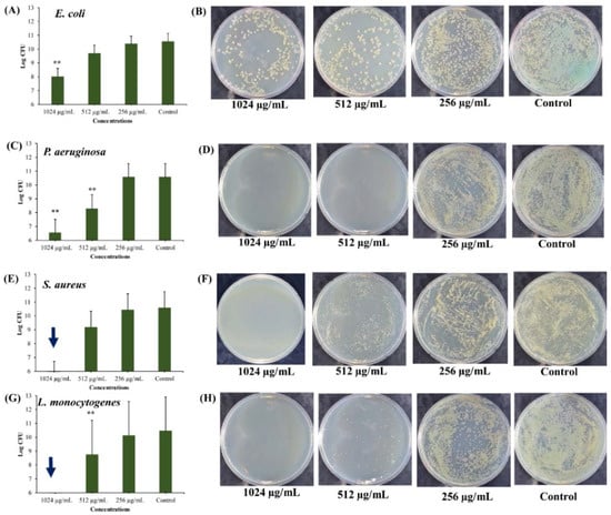 Marine Drugs | Free Full-Text | Bactericidal Activity of Usnic  Acid-Chitosan Nanoparticles against Persister Cells of Biofilm-Forming  Pathogenic Bacteria | HTML