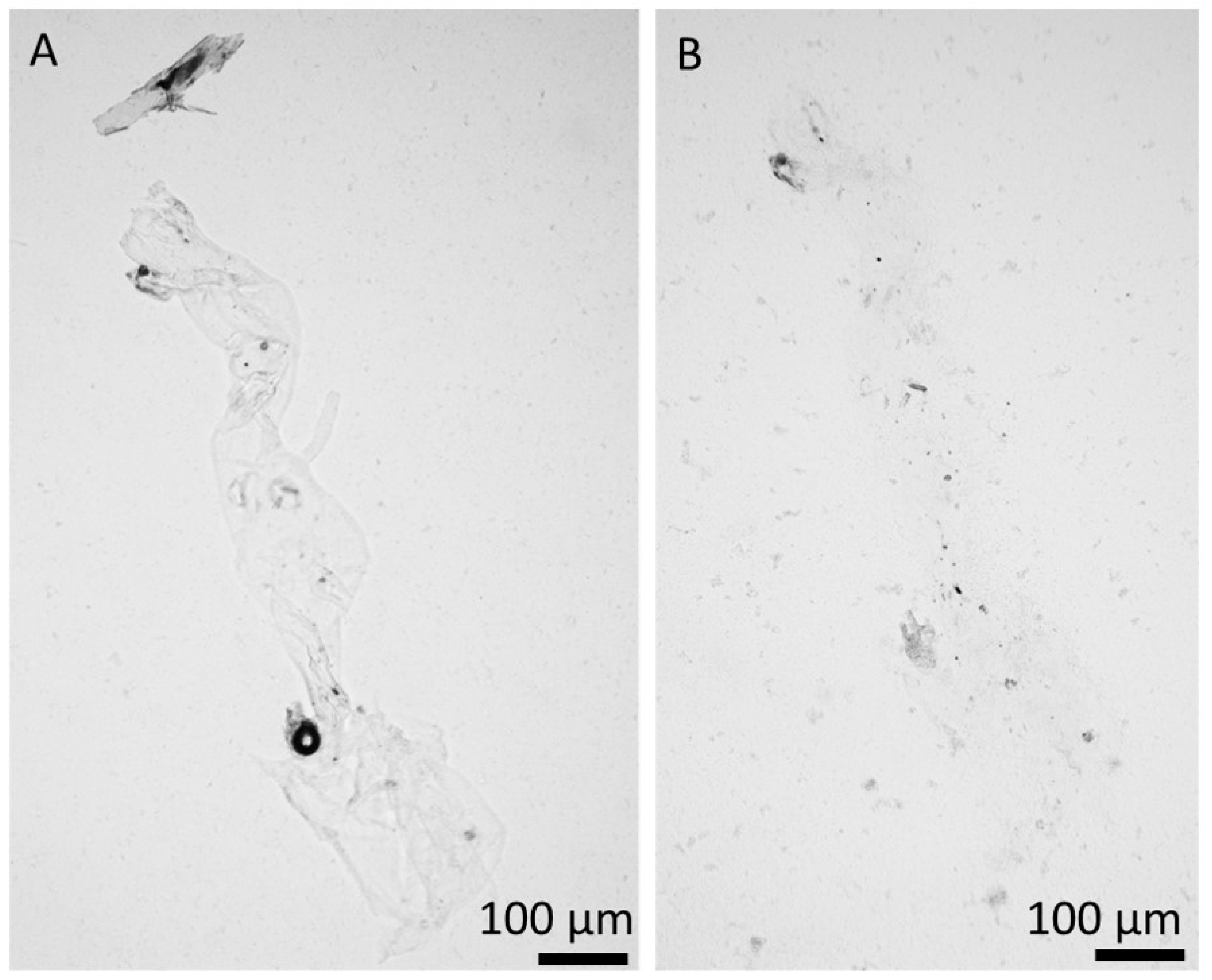 Marinedrugs 18 00297 g009 Marinedrugs 18 00297 g009