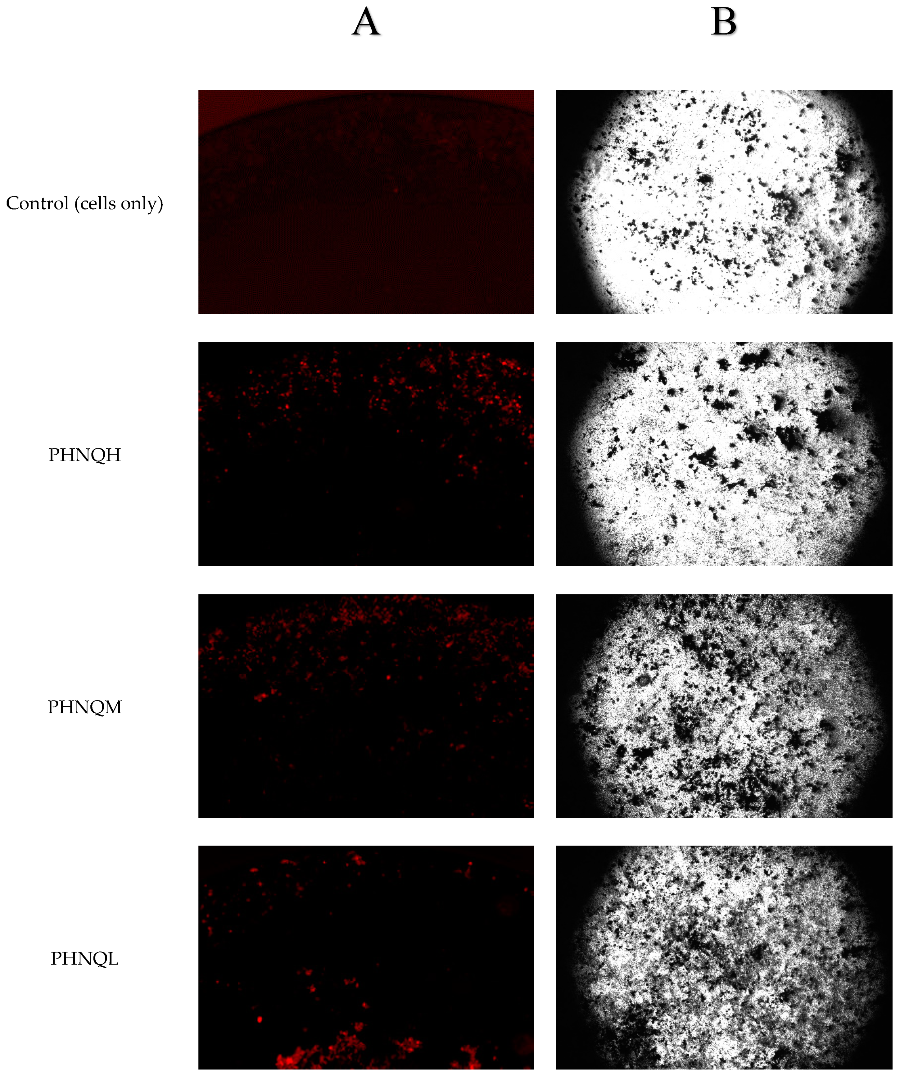 Marinedrugs 18 00373 g008