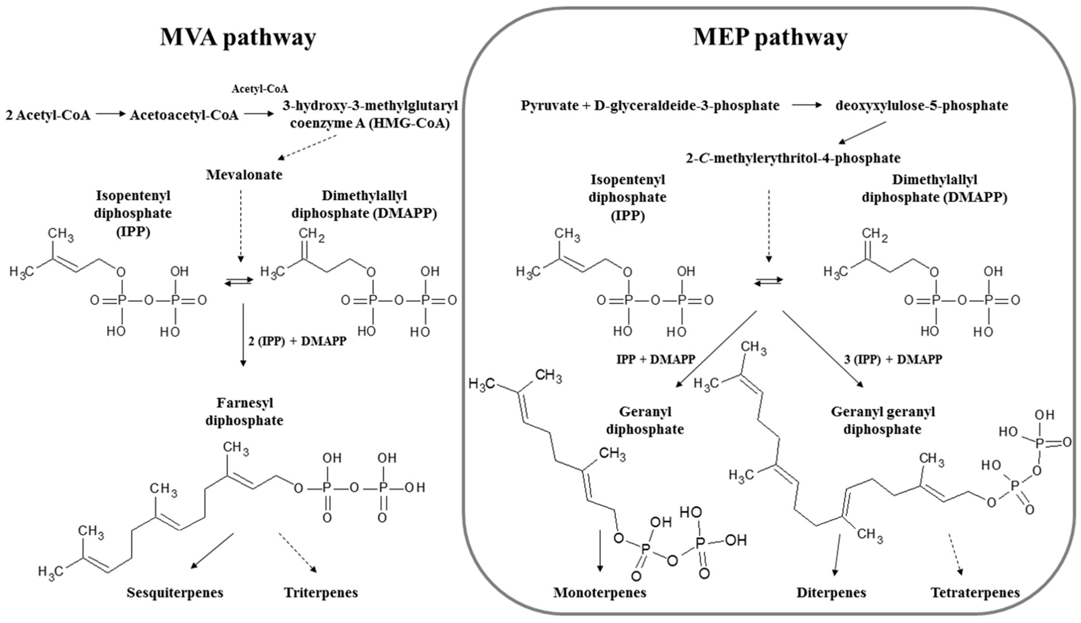 Marine Drugs | Free Full-Text | Marine Terpenoids from Polar Latitudes and  Their Potential Applications in Biotechnology | HTML