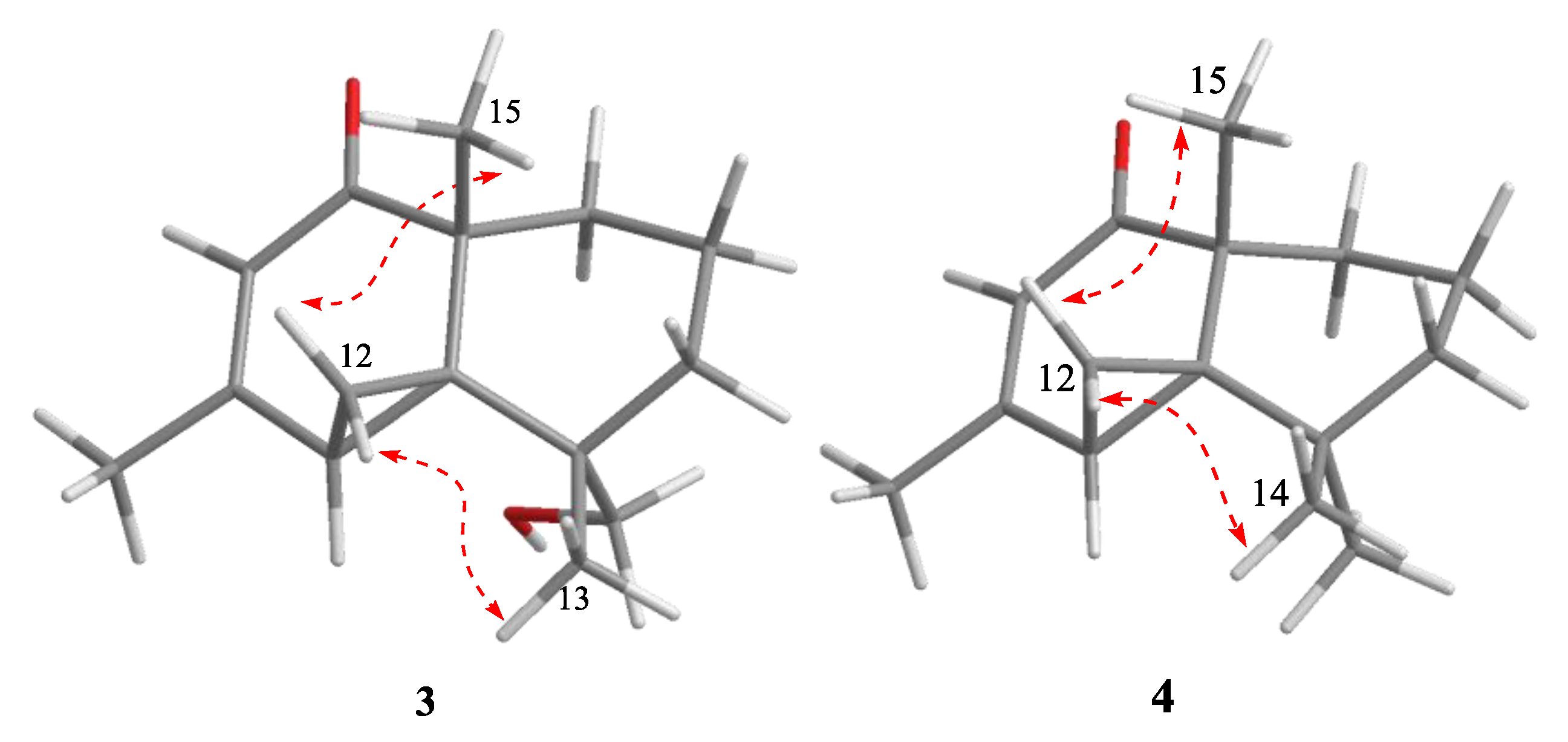 Marinedrugs 18 00426 g005