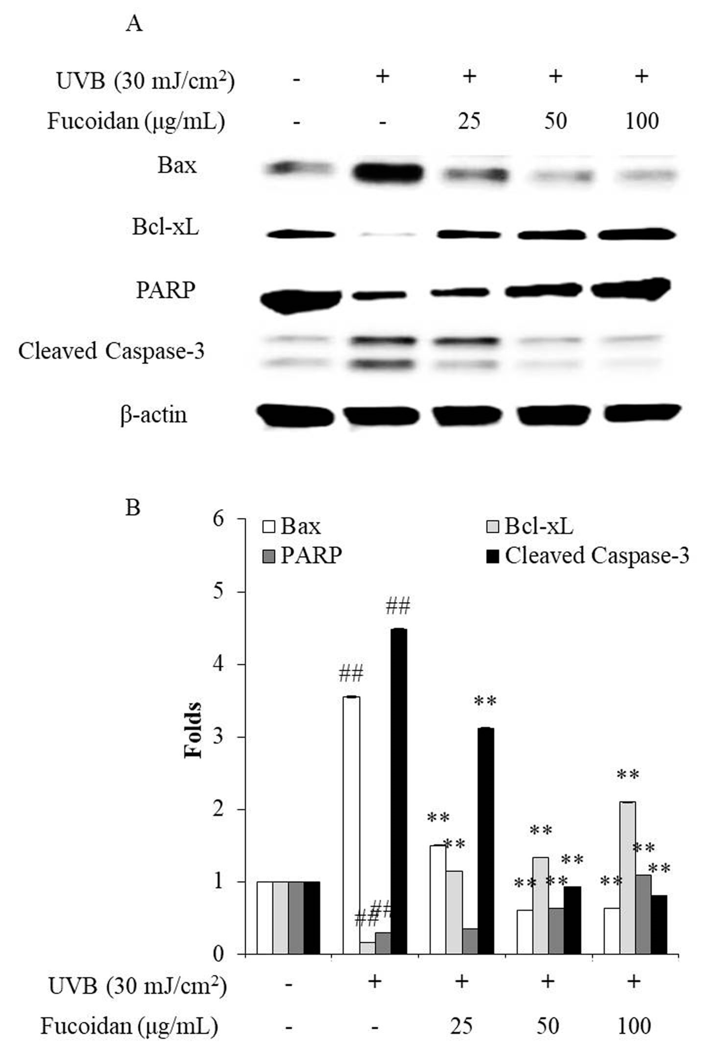 Marinedrugs 18 00427 g003