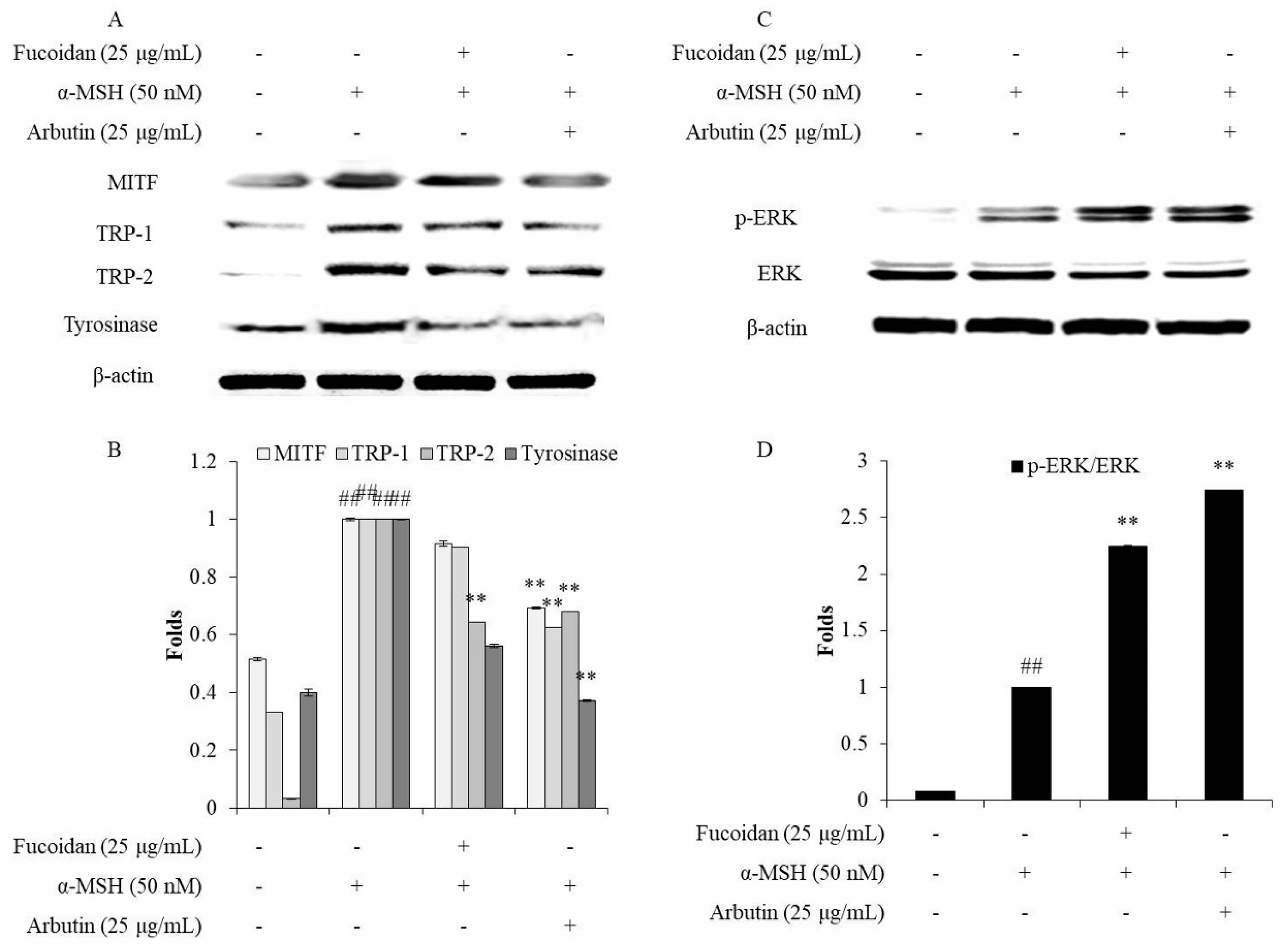 Marinedrugs 18 00427 g005