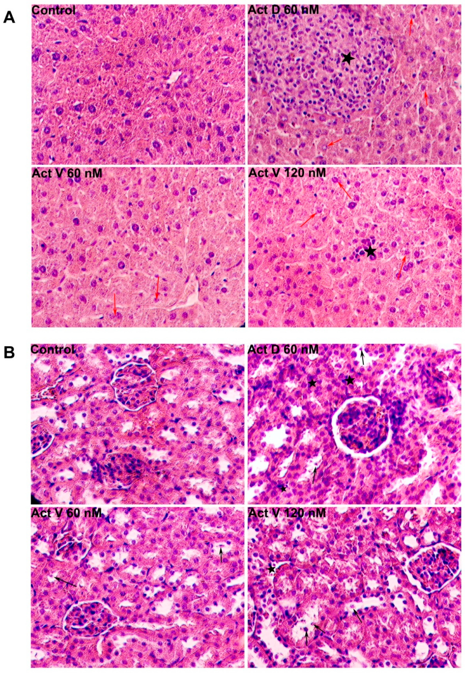 Marinedrugs 18 00428 g004