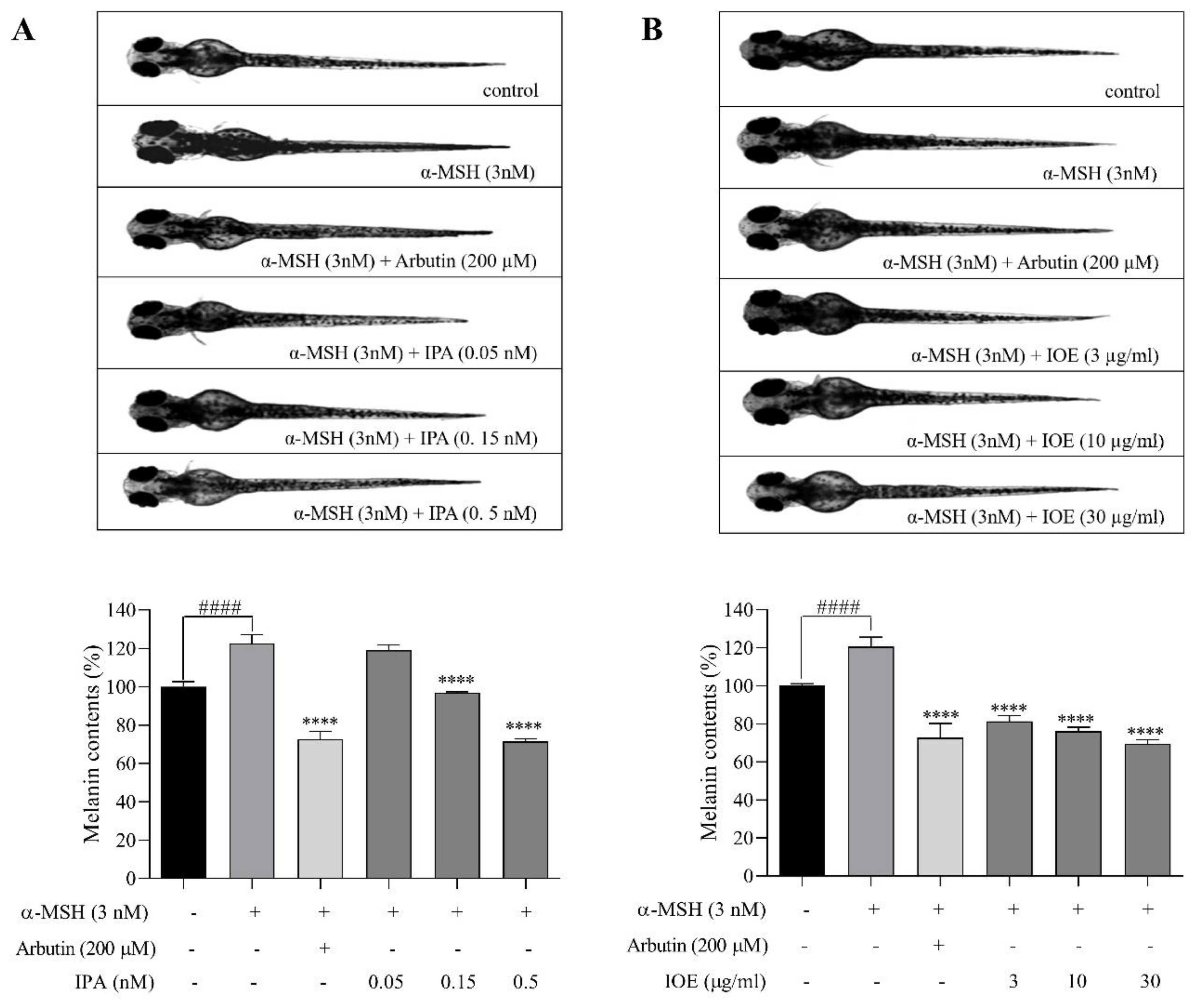 Marinedrugs 18 00470 g002