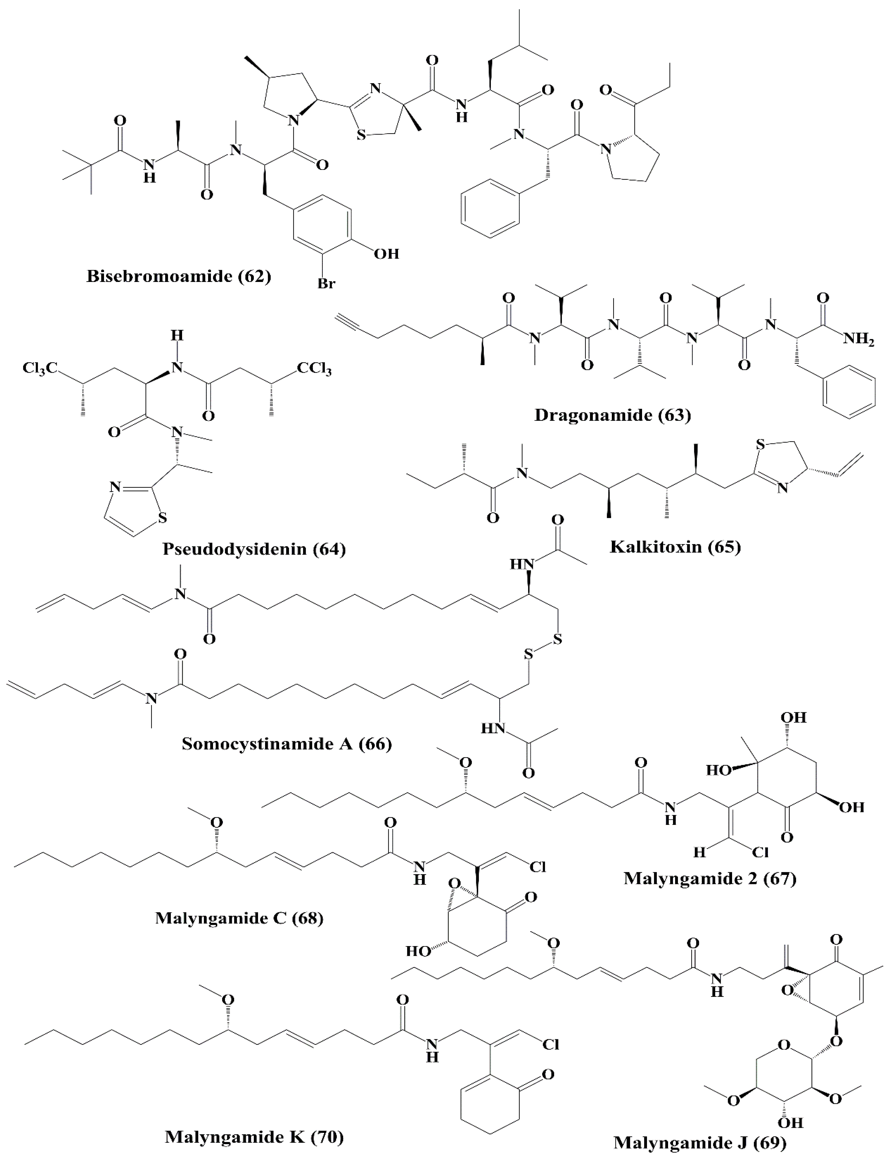 Marinedrugs 18 00476 g010