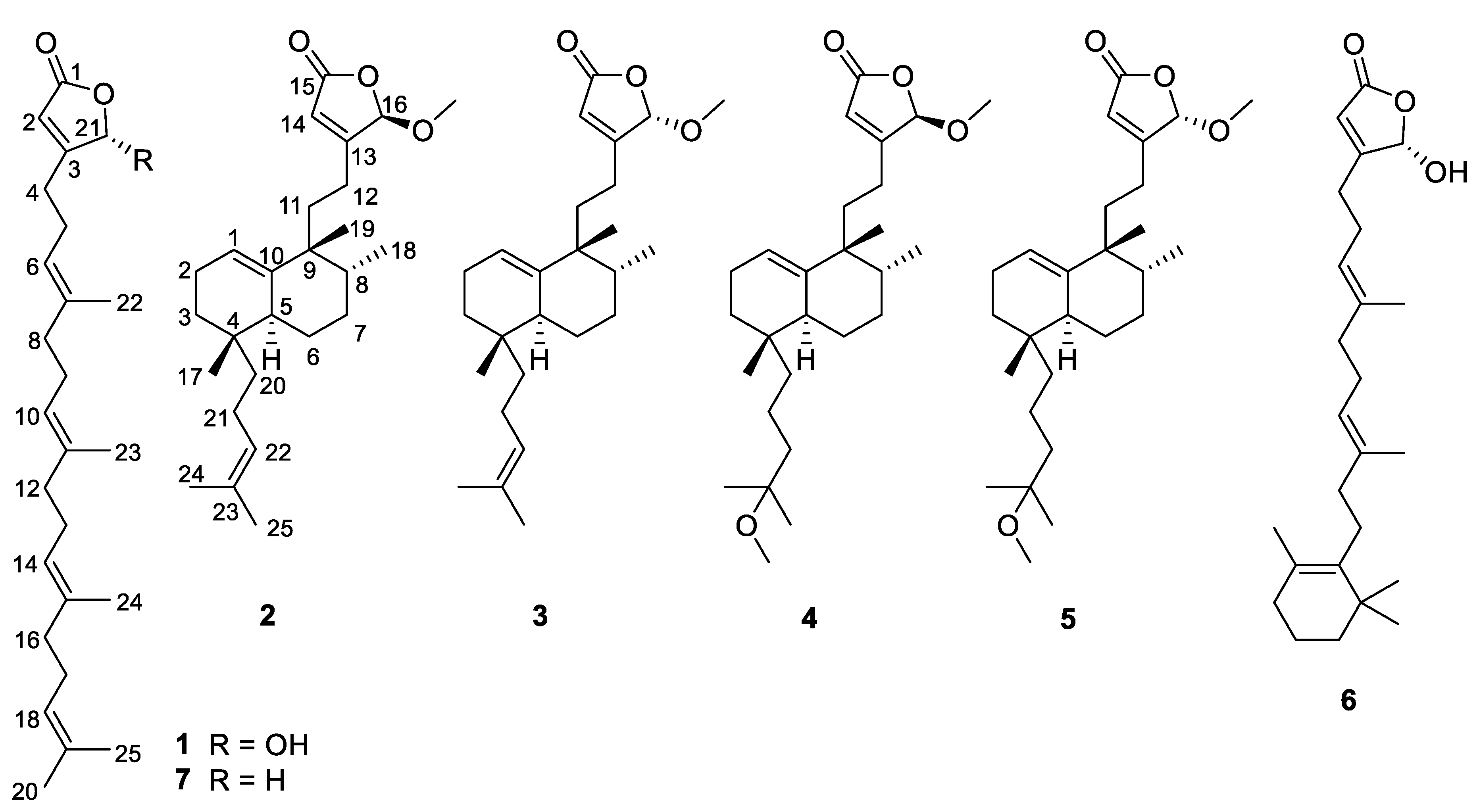 Marinedrugs 18 00491 g001