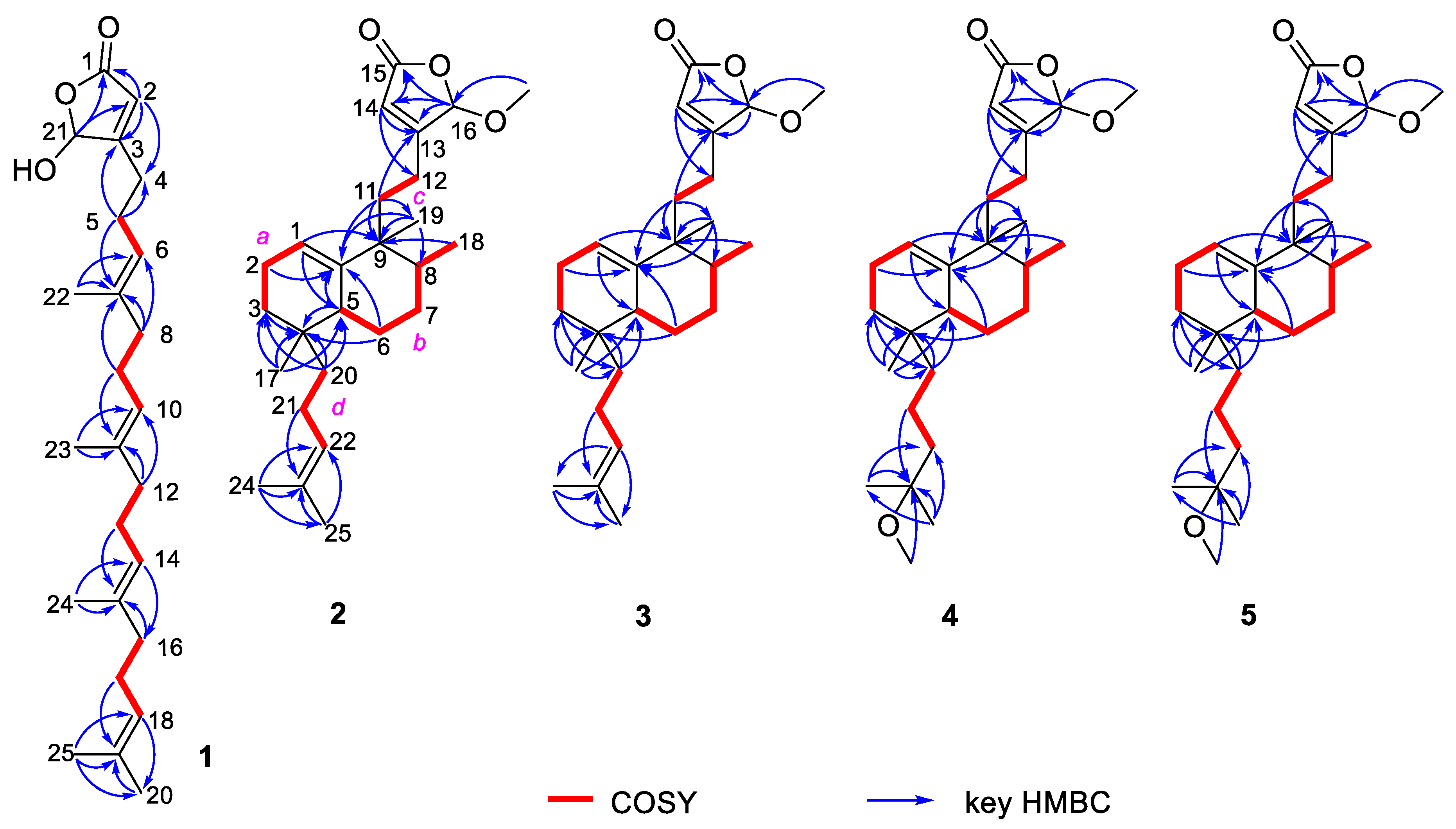 Marinedrugs 18 00491 g002