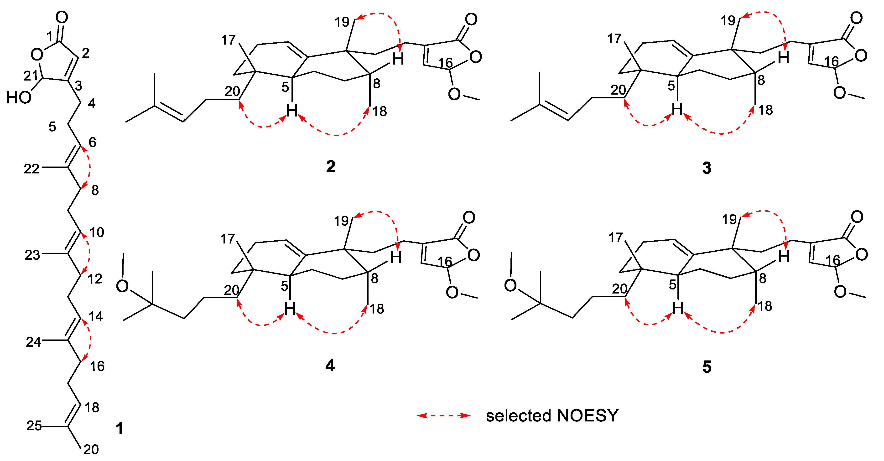 Marinedrugs 18 00491 g003