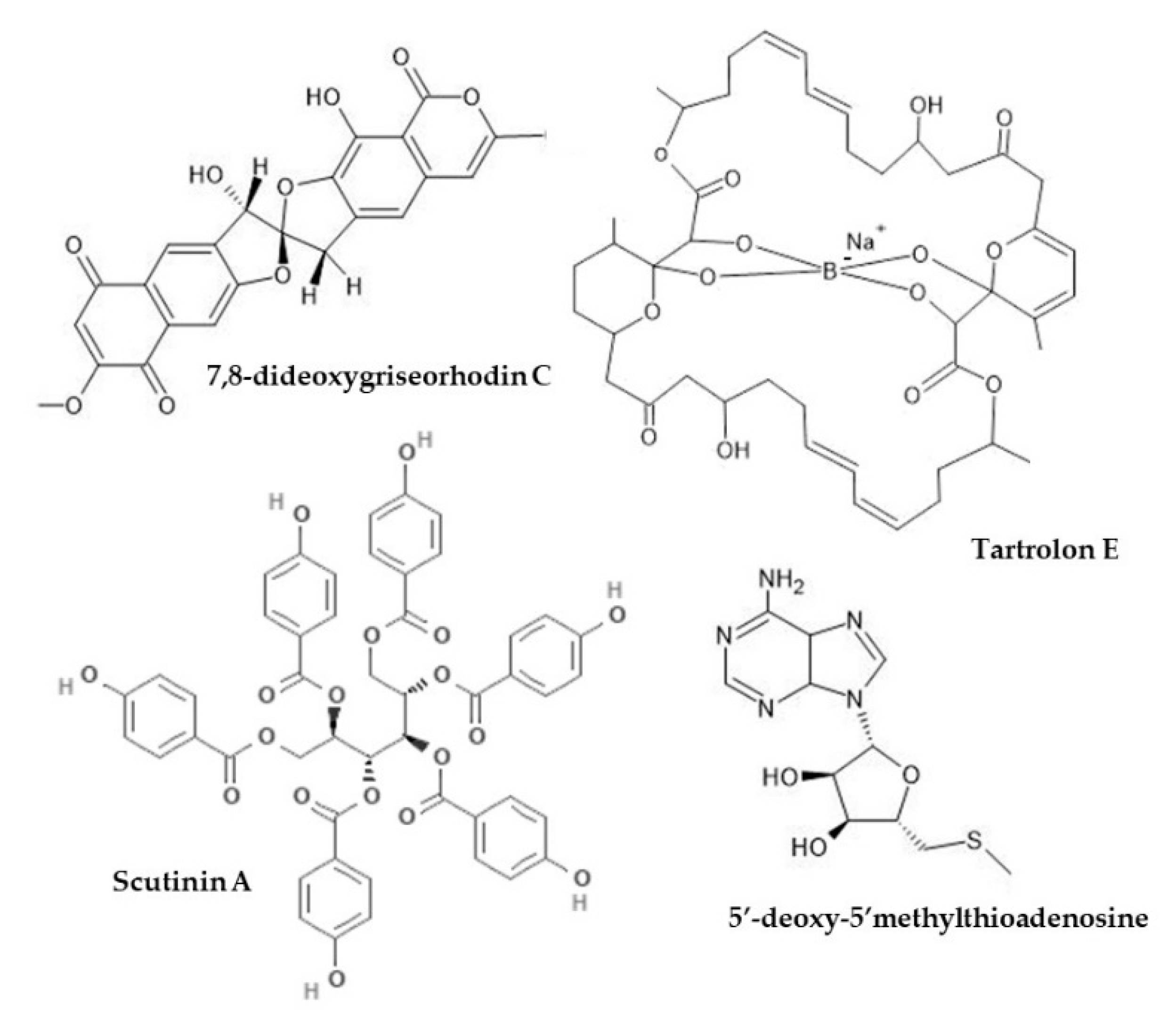 Marine Drugs | Free Full-Text | Molluscan Compounds Provide Drug Leads for  the Treatment and Prevention of Respiratory Disease | HTML
