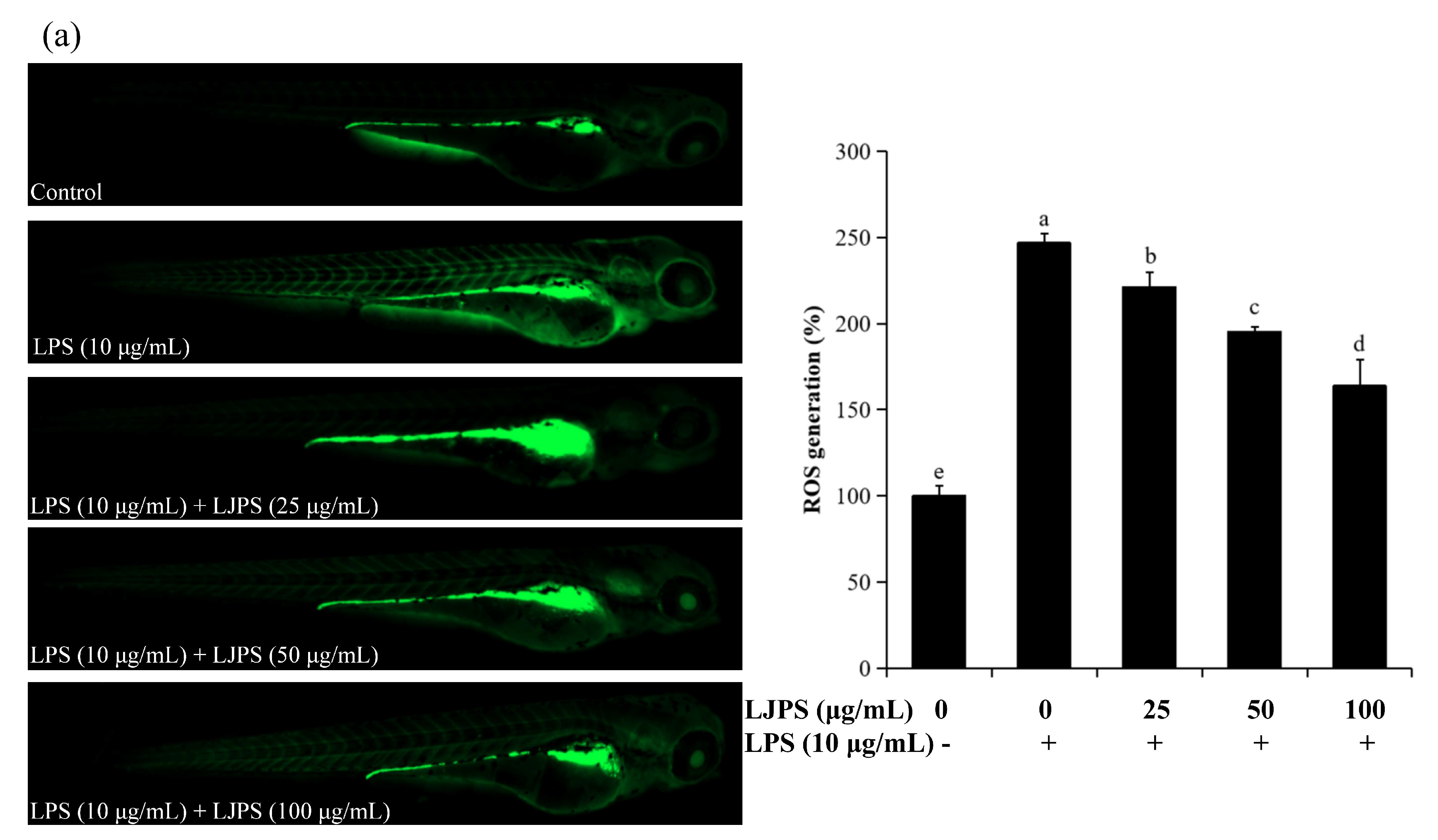 Marinedrugs 18 00593 g008a Marinedrugs 18 00593 g008a