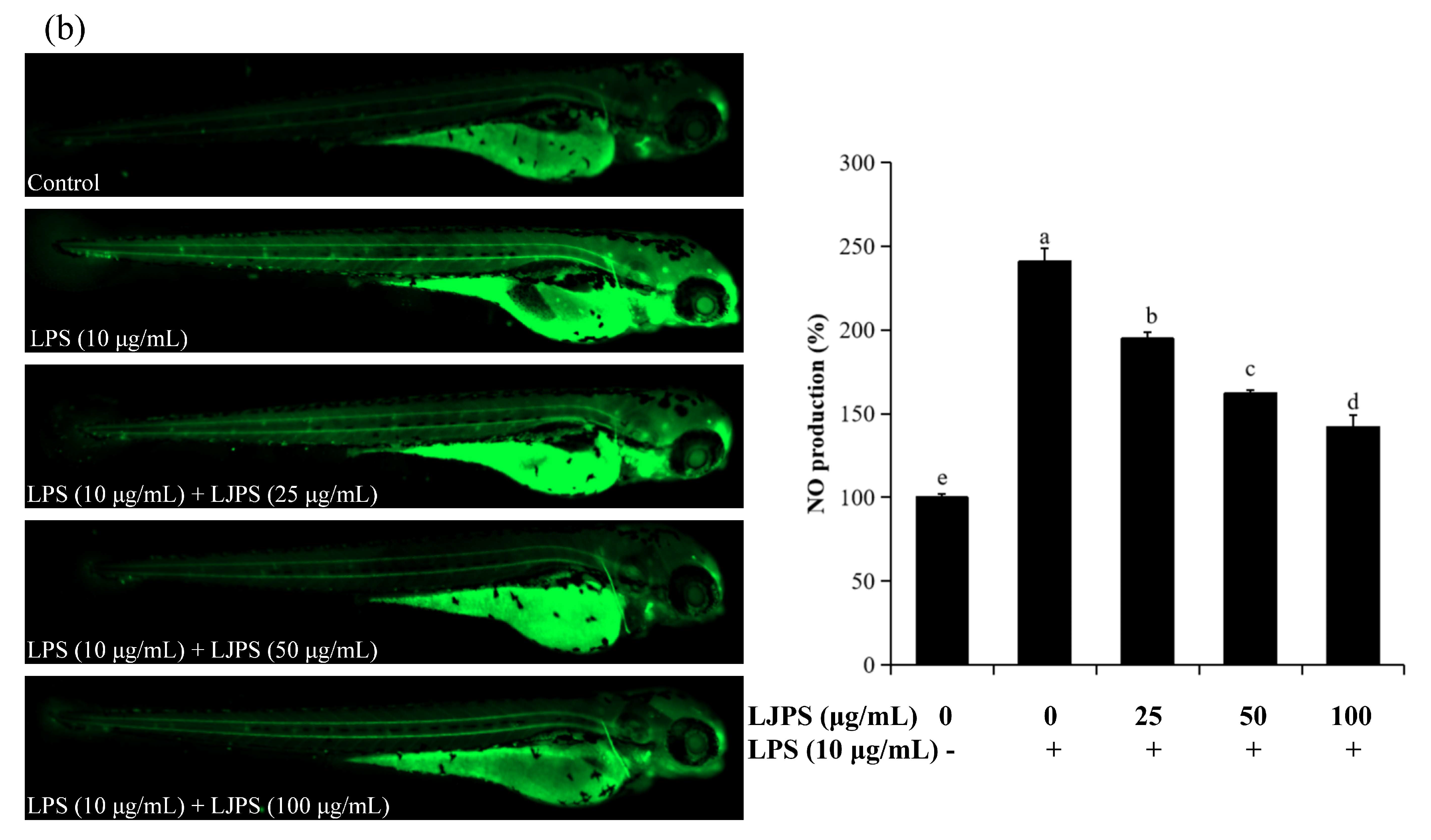 Marinedrugs 18 00593 g008b Marinedrugs 18 00593 g008b