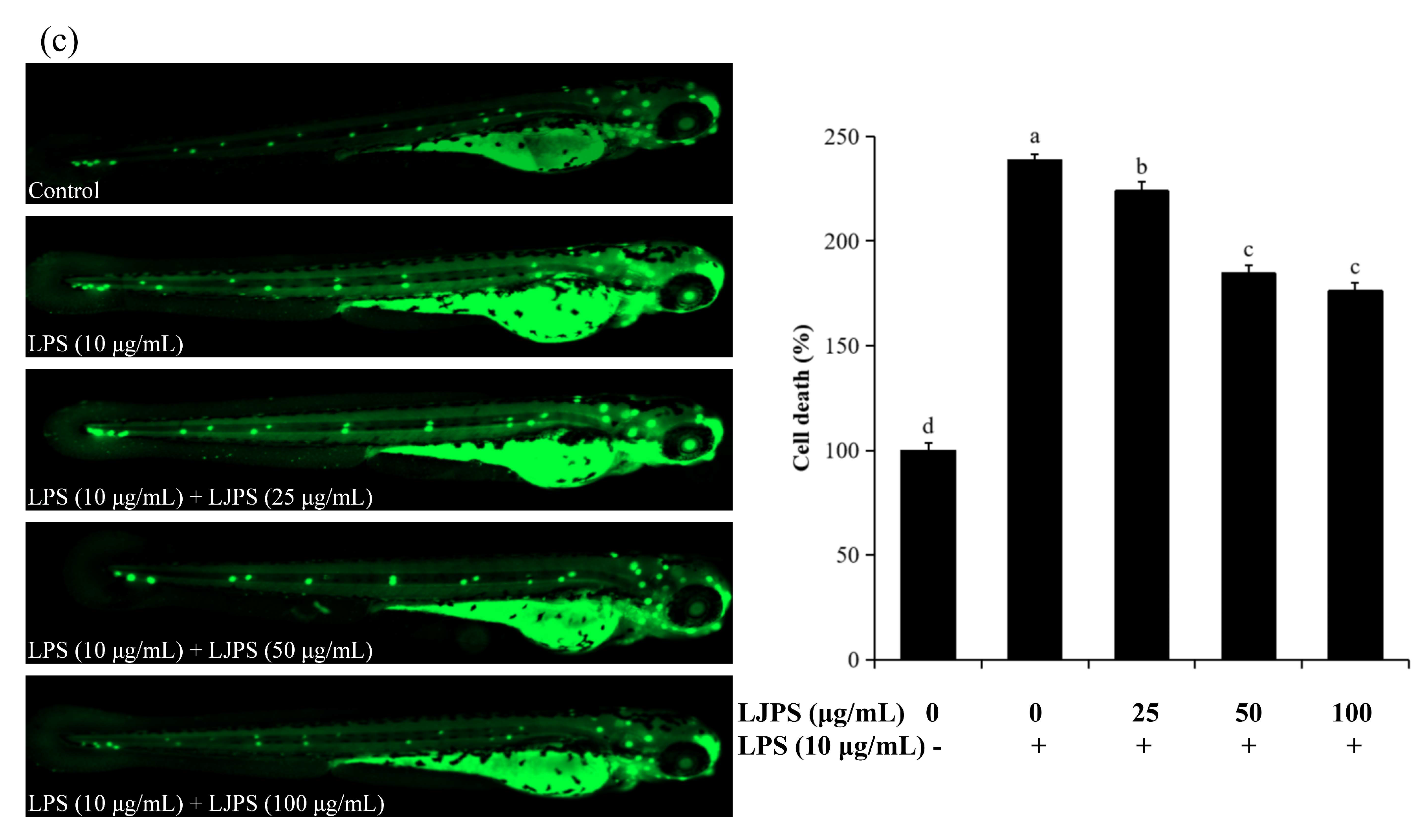 Marinedrugs 18 00593 g008c Marinedrugs 18 00593 g008c