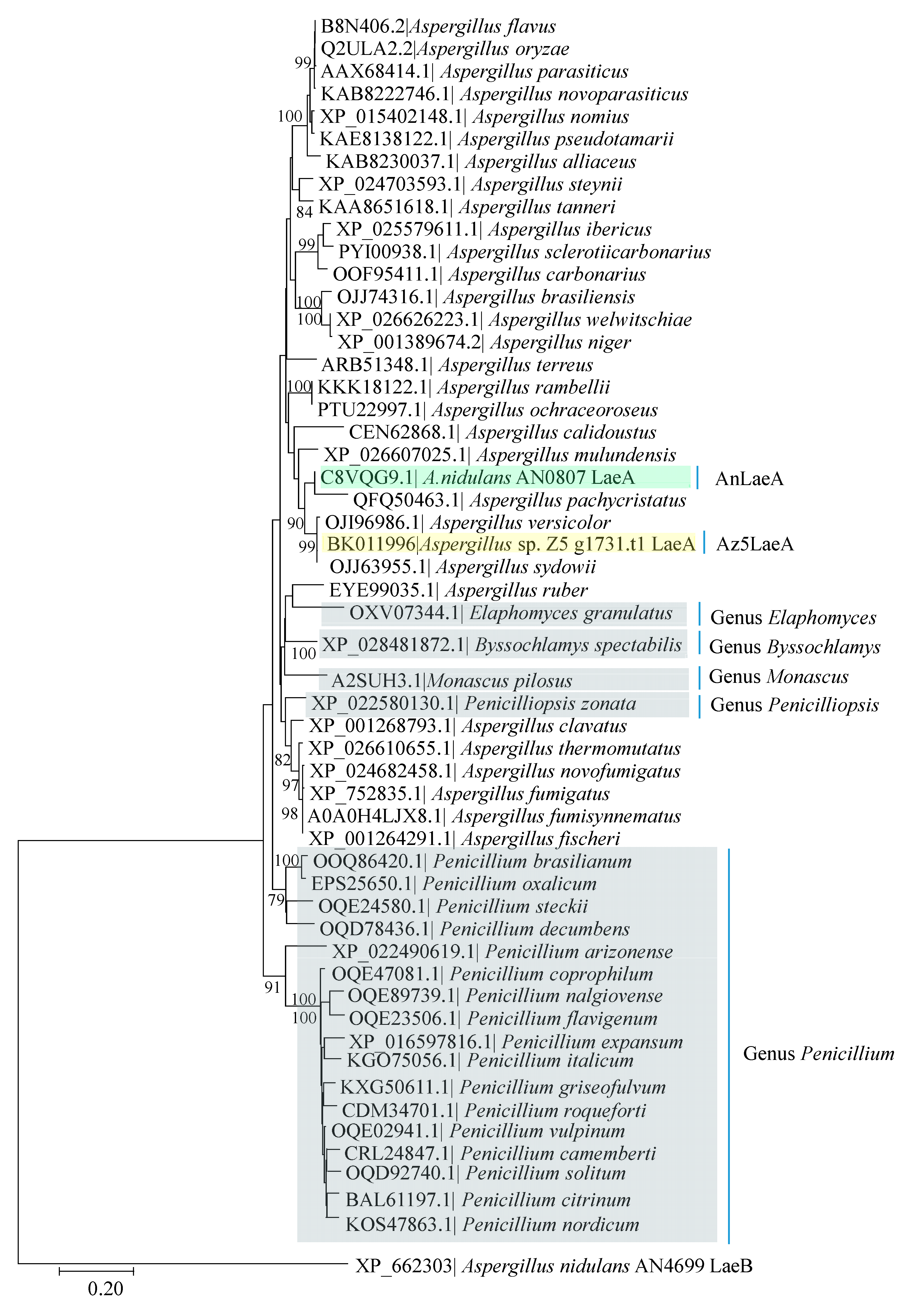 Marinedrugs 18 00652 g002 Marinedrugs 18 00652 g002