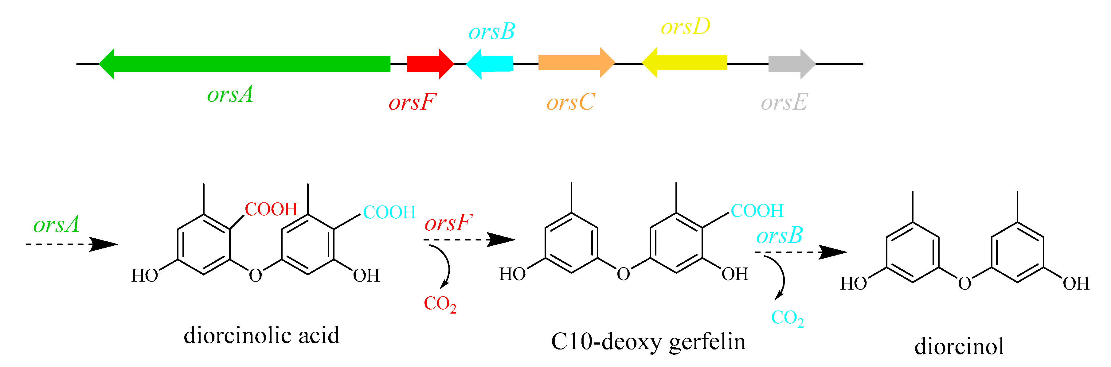 Marinedrugs 18 00652 g008 Marinedrugs 18 00652 g008