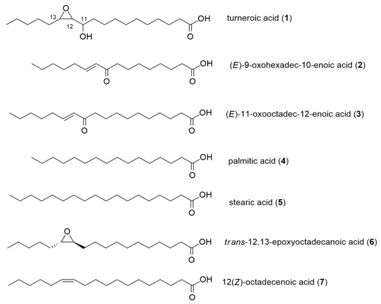 Marine Drugs | Free Full-Text | Inhibition of Biofilm Formation by ...